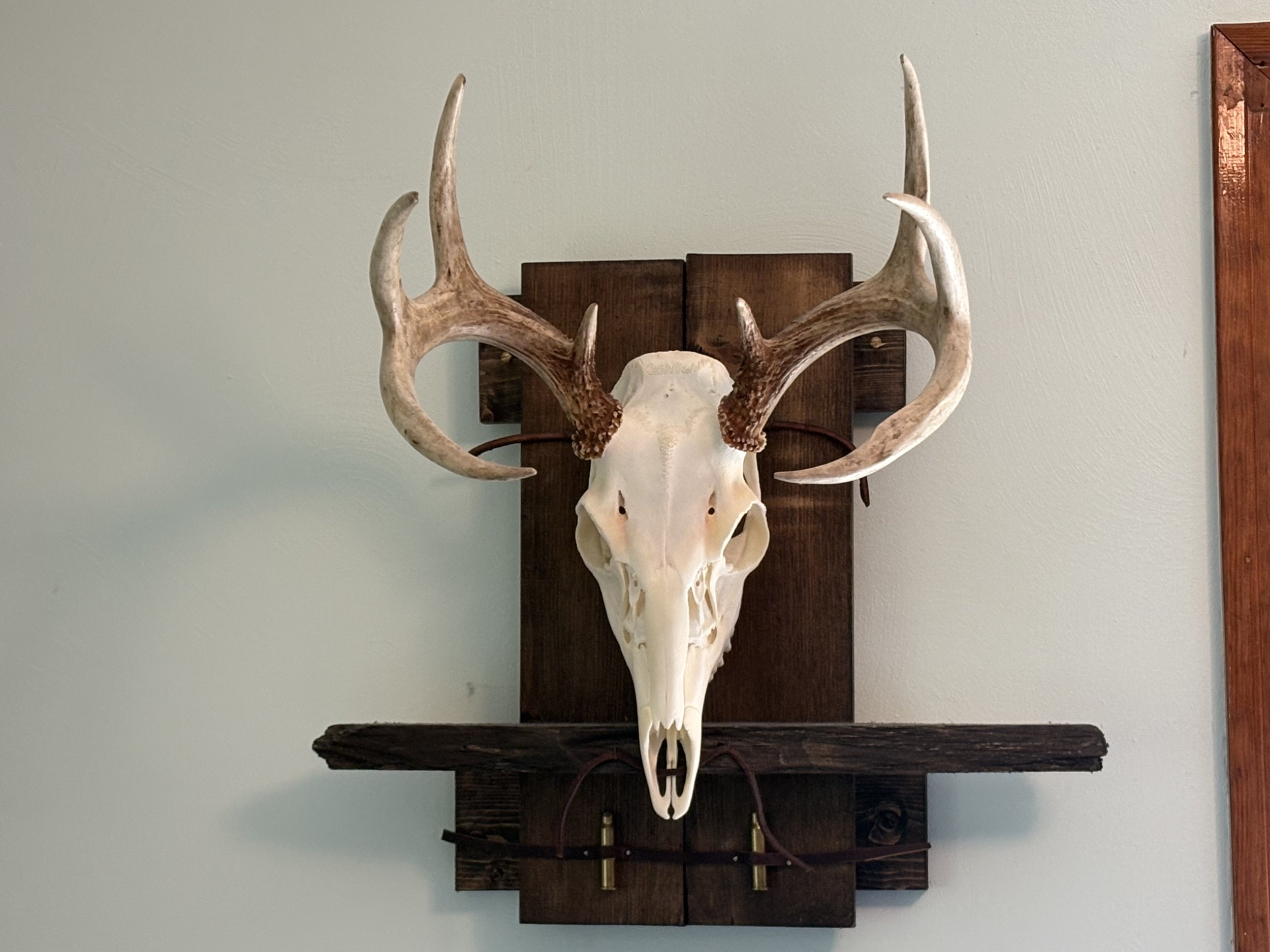 Basic Rescued Wood Mount
