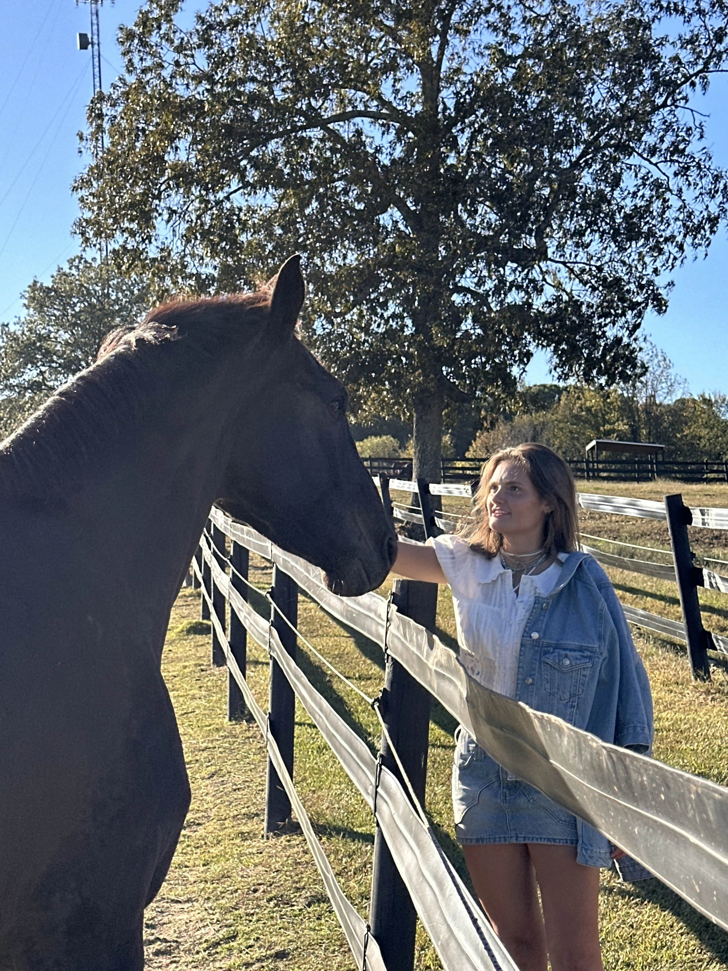 A young girl with long brown hair wearing a white t-shirt, denim jacket, and denim shorts petting a horse's head near a fenced outdoor area, with large trees and a blue sky in the background.