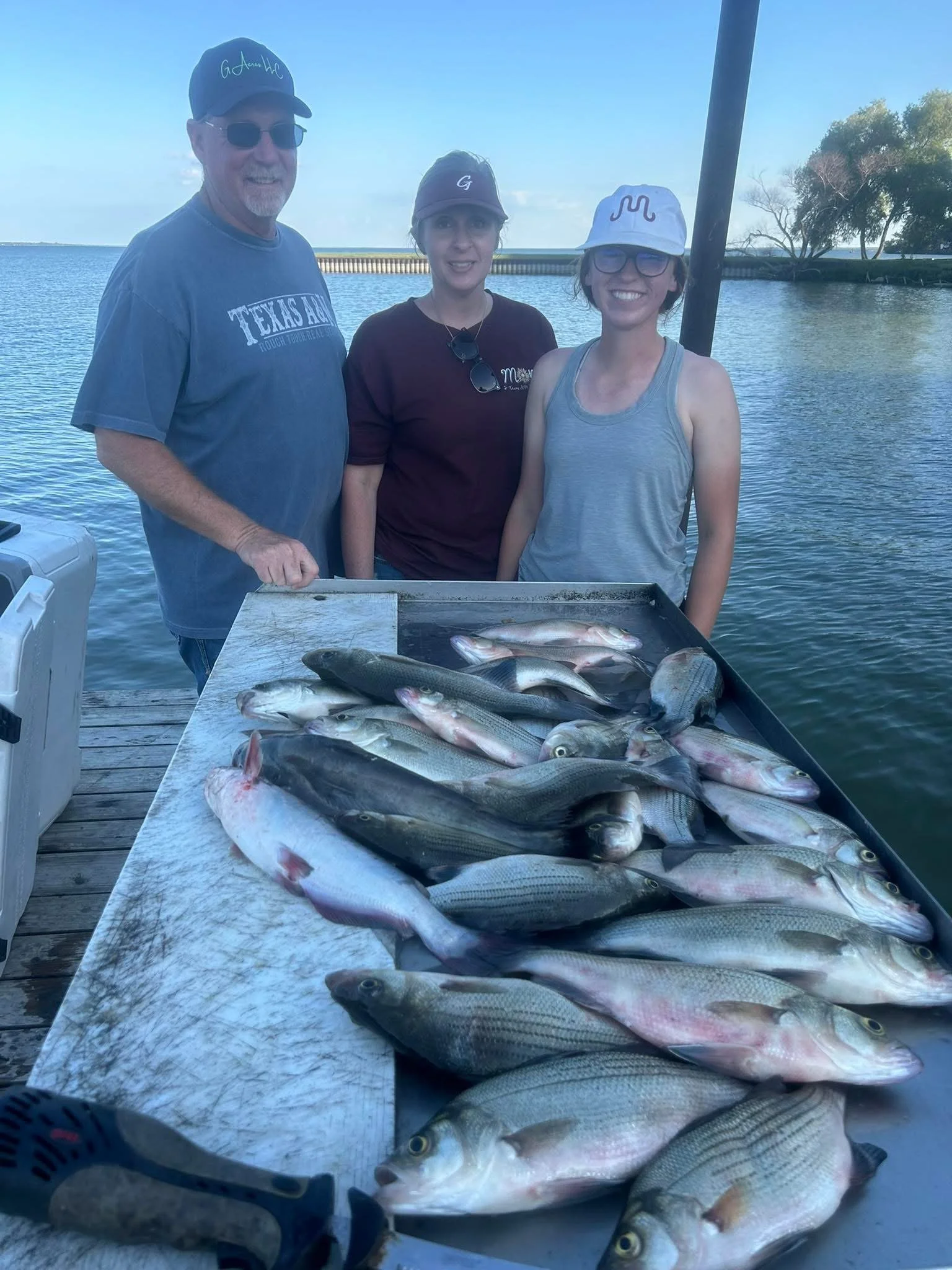 Three people standing behind a table filled with a large catch of fish on a dock by the water, with trees and a breakwater in the background under a clear sky.