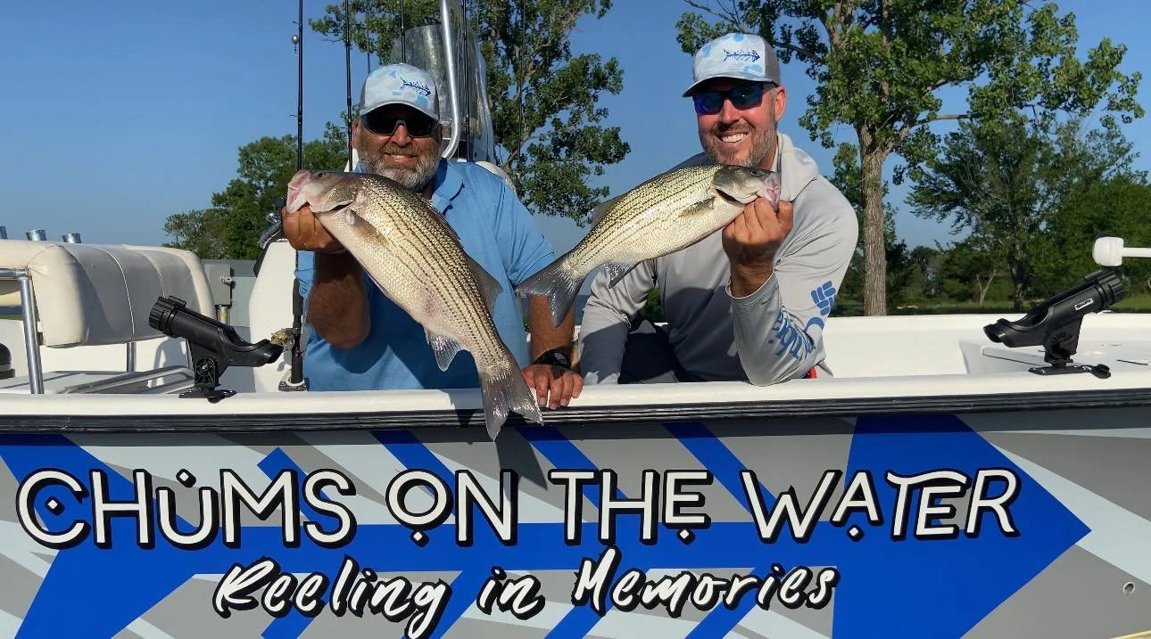 Two men in sunglasses and hats holding striped bass fish on a boat with trees and blue sky in the background.