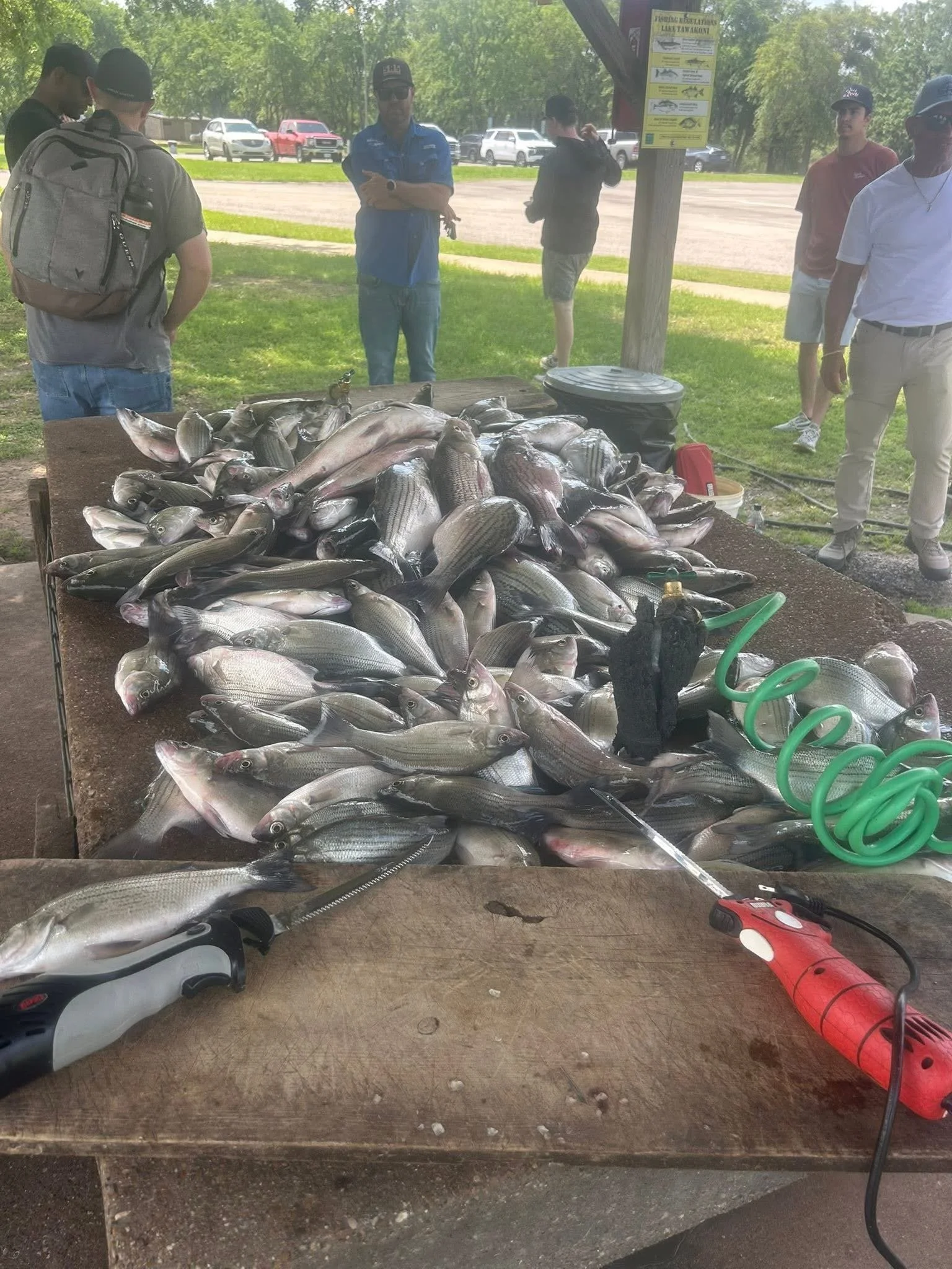 A group of people standing around a large table filled with a variety of fish, outdoors in a park or fishing area. There are multiple parked cars in the background, and a sign on a post nearby. The scene suggests a fishing event or market.