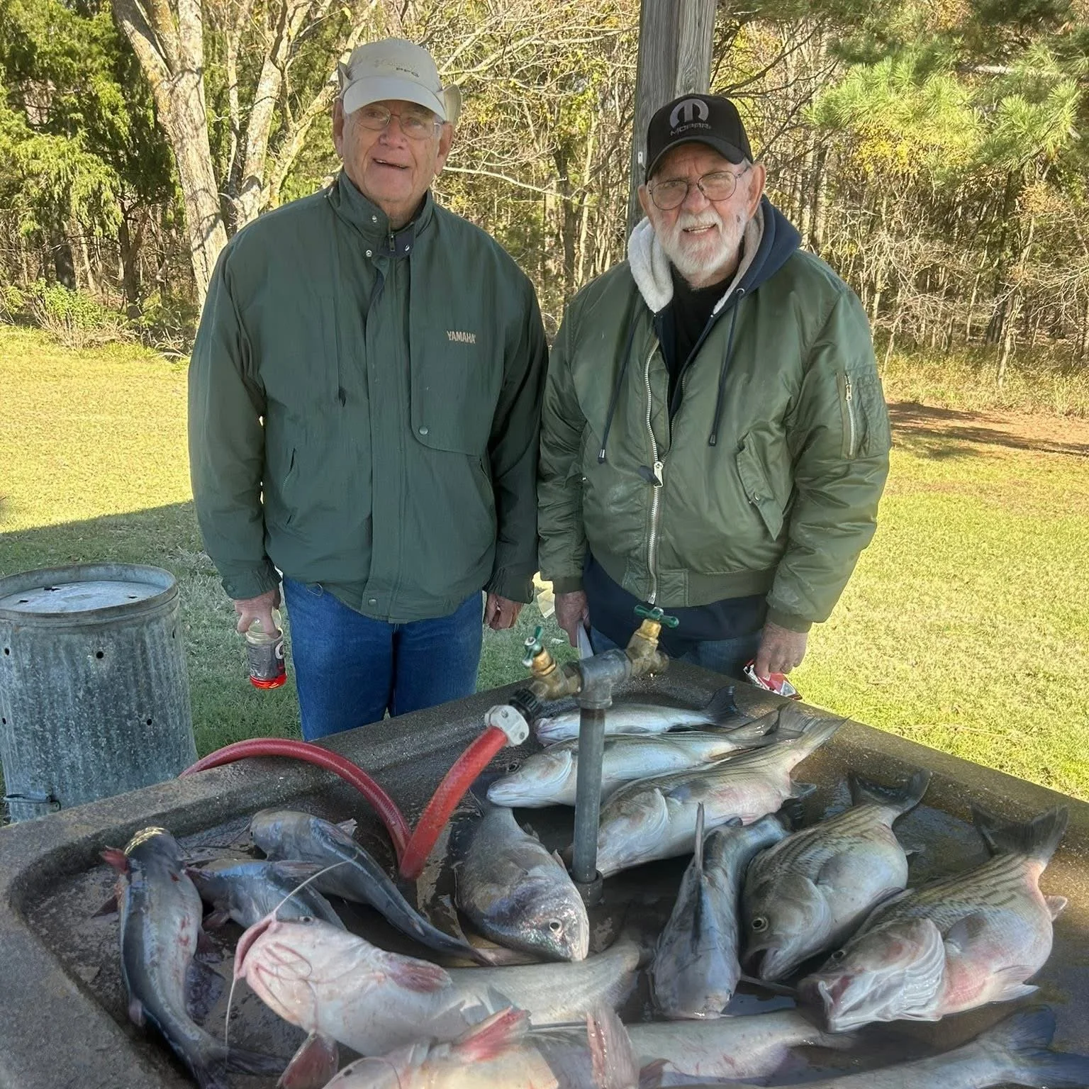 Two elderly men standing outdoors next to a black tub filled with freshly caught fish, with a backdrop of trees and grass.
