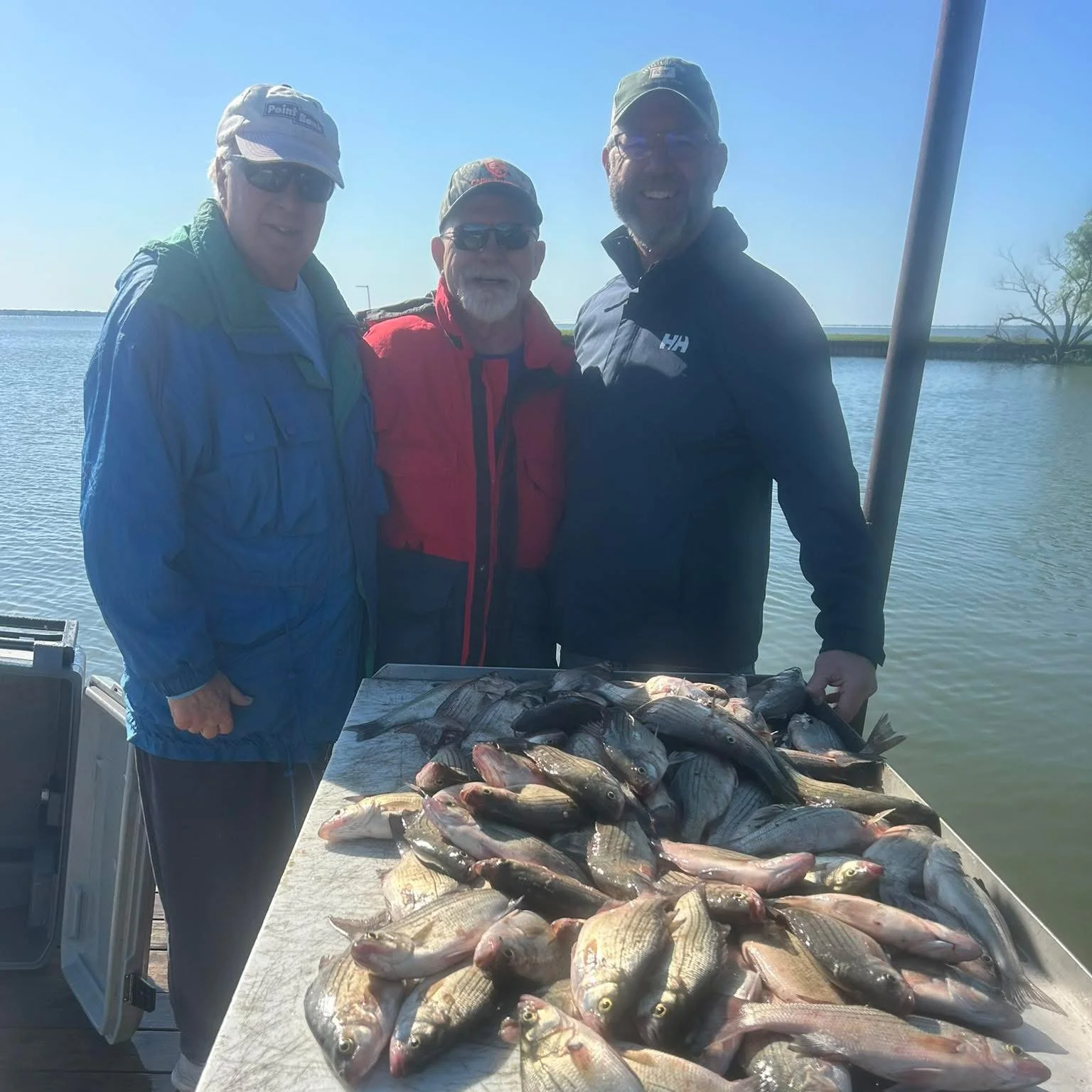 Three men standing behind a large table of caught fish with water and a tree in the background.