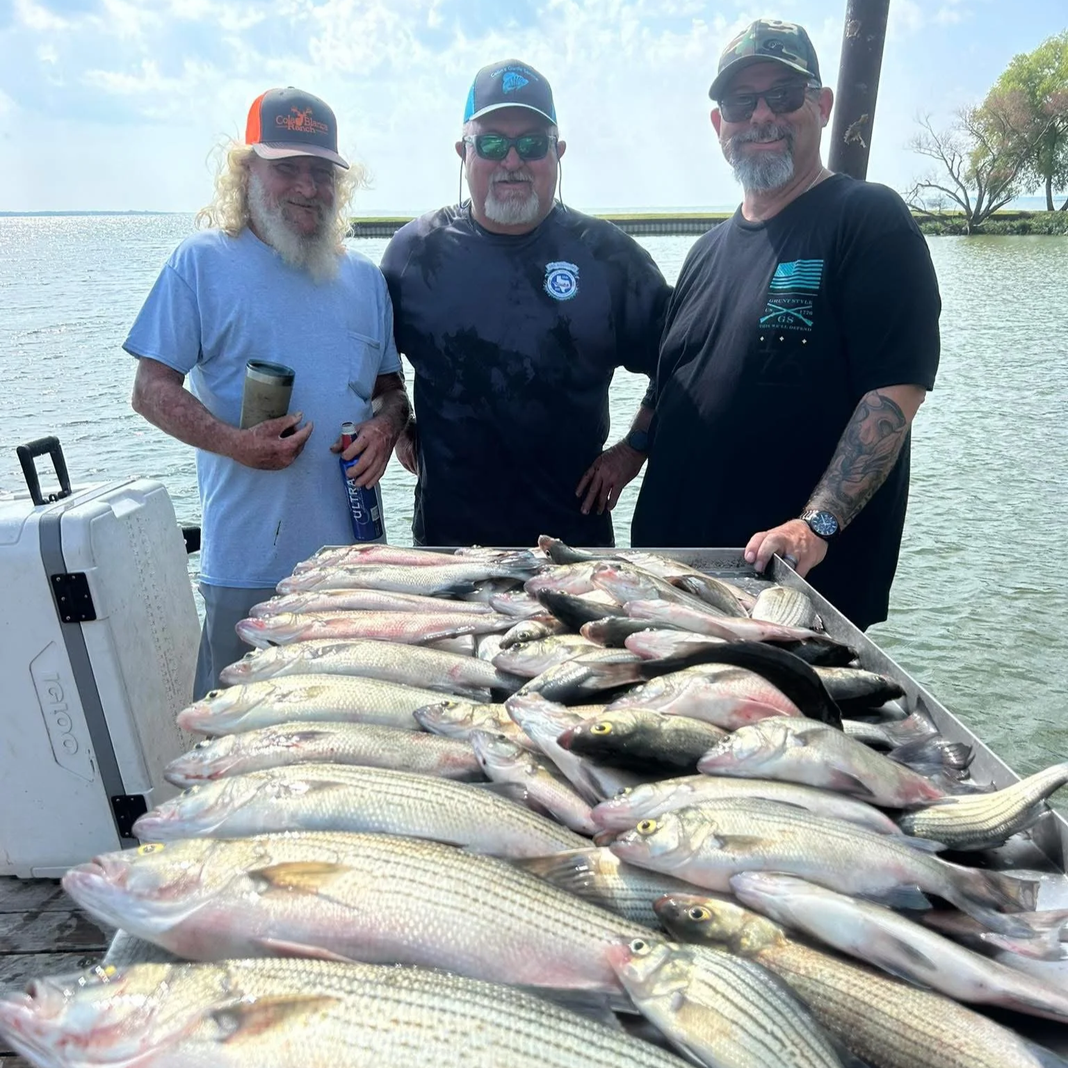 Three men standing behind a large catch of fish on a boat, with water and trees in the background.