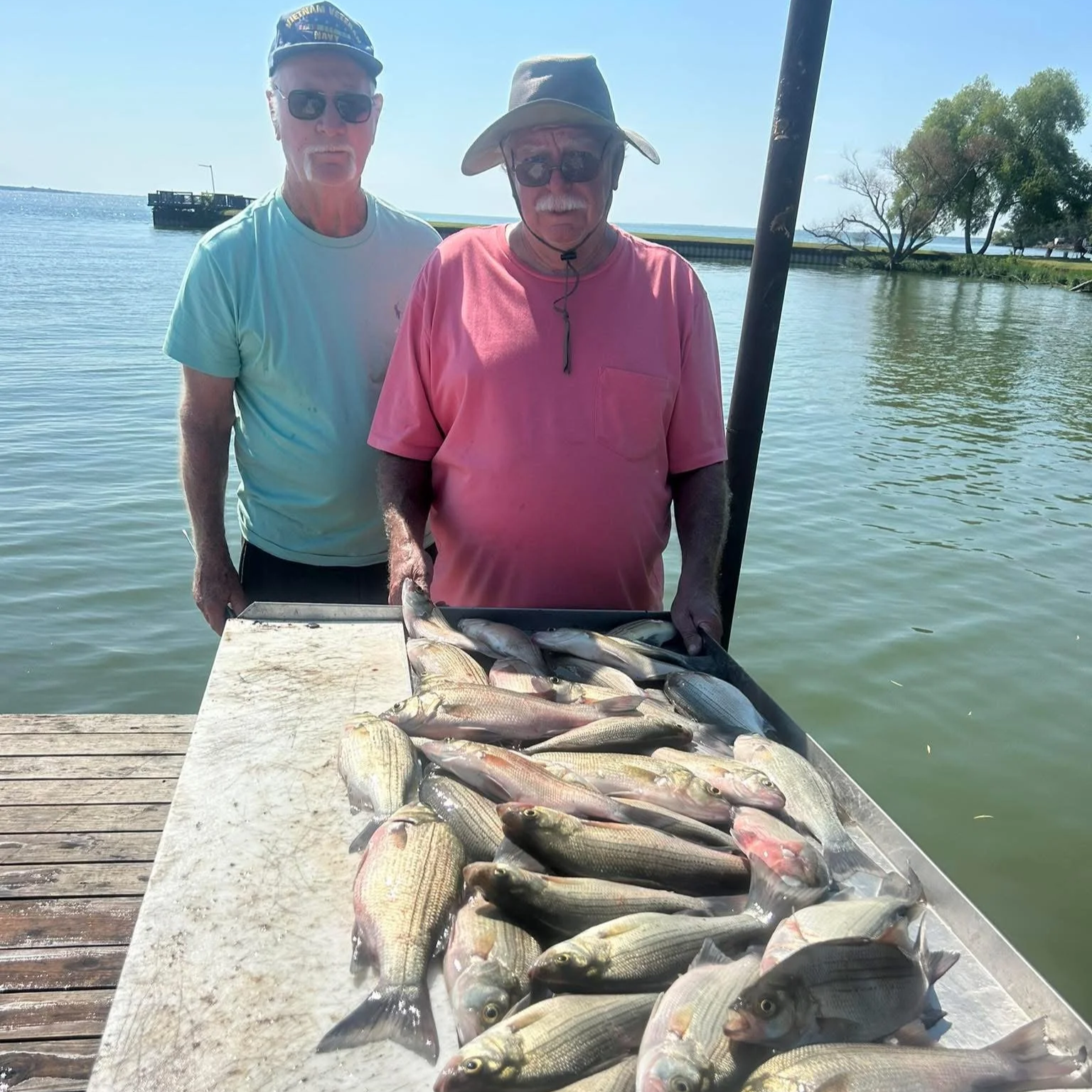 Two older men with white hair and glasses stand behind a large table covered with freshly caught fish, by a body of water on a sunny day. One man wears a pink shirt and a wide-brimmed hat, the other a light blue shirt and a cap. Trees and a pier are 