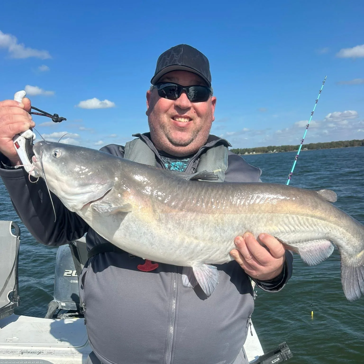 A man wearing sunglasses, a cap, and a gray jacket smiling and holding a large fish on a boat, with water and a shoreline in the background.
