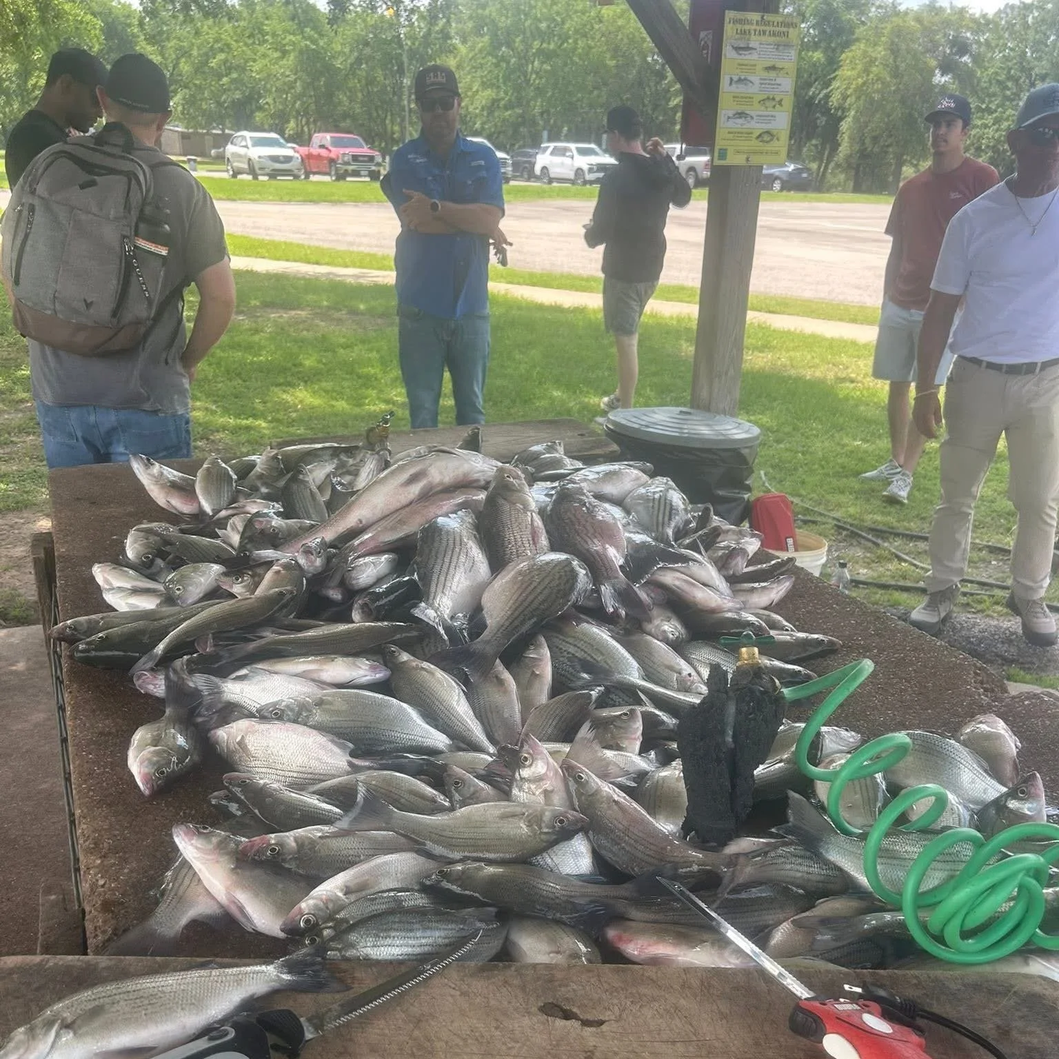 People standing outdoors around a large table filled with freshly caught fish. Some individuals are looking at their phones or talking. There is a parking lot with cars in the background and a sign posted on a wooden post near the table.