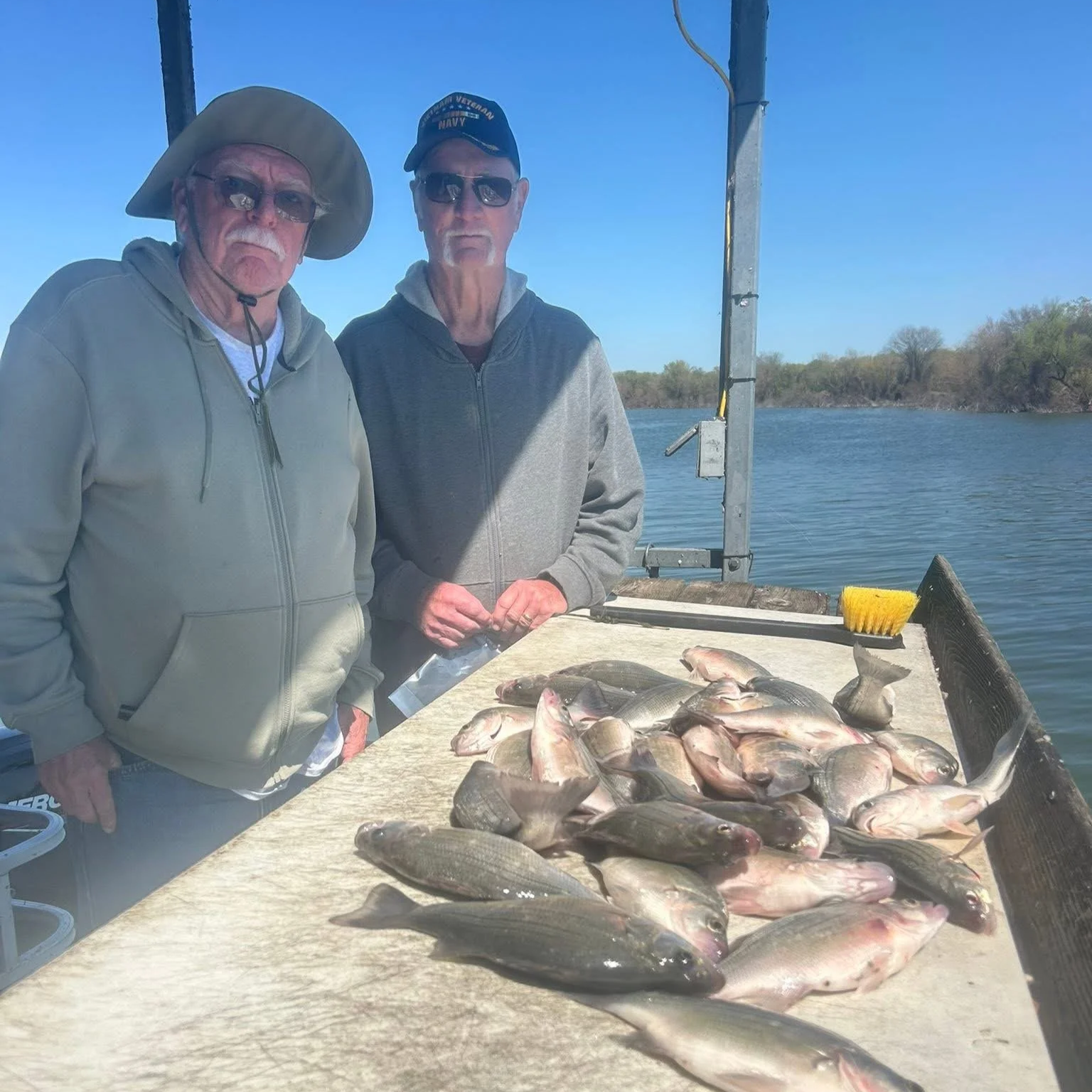 Two elderly men standing behind a table with freshly caught fish, near a body of water, with clear blue sky and trees in the background.
