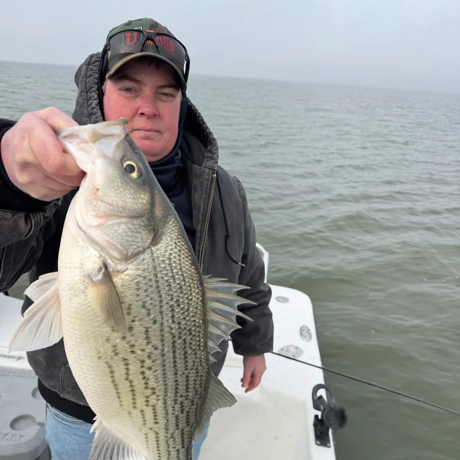 Person holding a large fish on a boat, with water in the background.