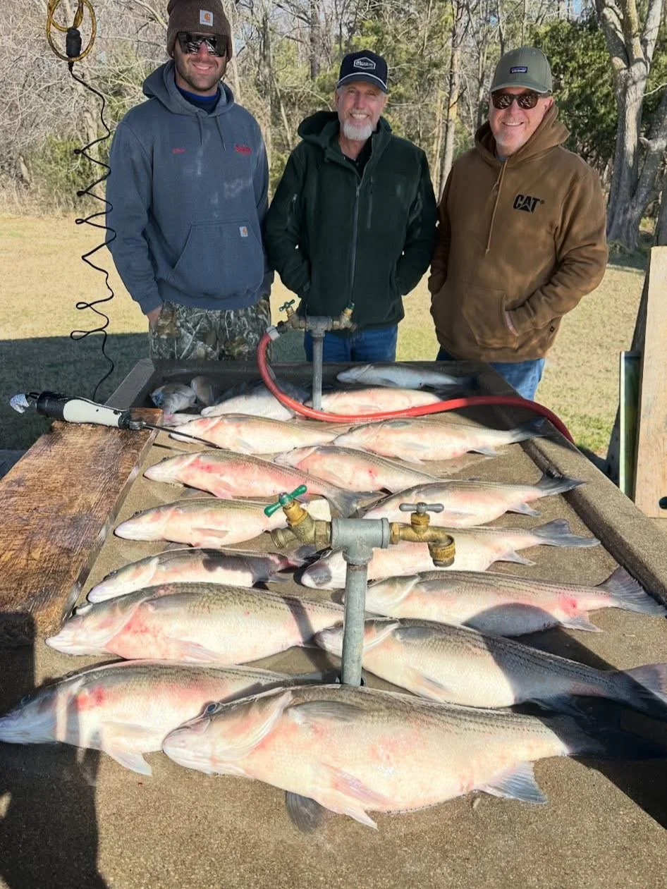 Three men standing behind a table with multiple caught fish laid out on it, outdoors in a wooded area.