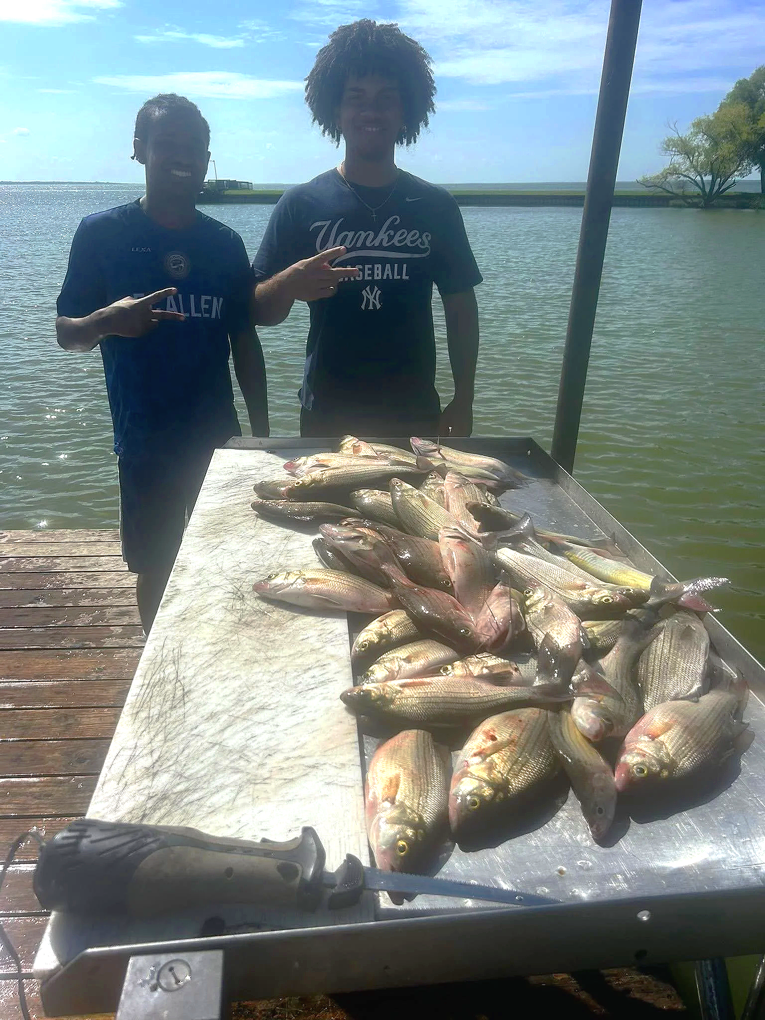 Two men standing by a table full of freshly caught fish near a body of water, with a shoreline and tree in the background, sunny sky.