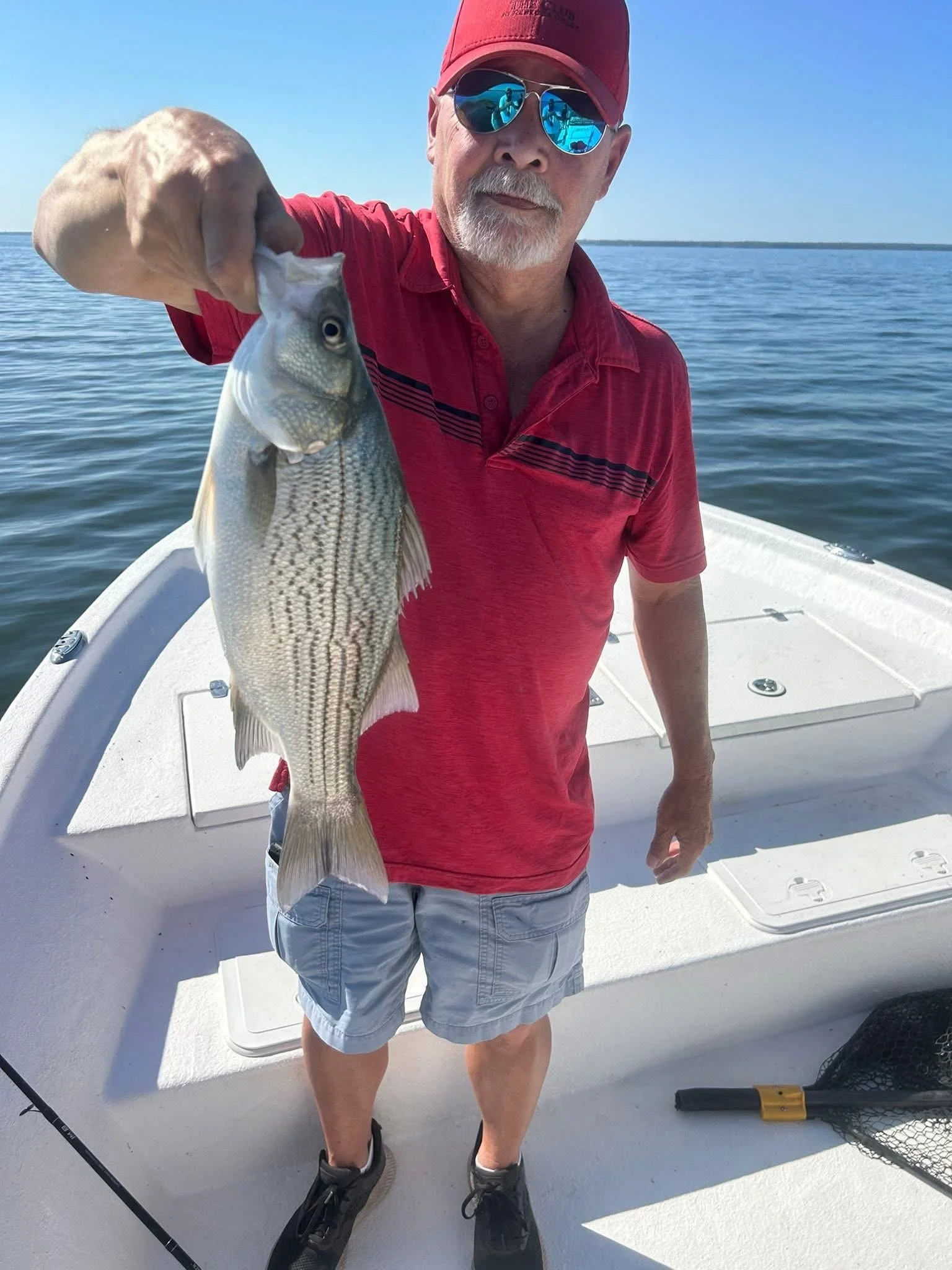 A man wearing a red cap, sunglasses, a red polo shirt, and light shorts holding a fish aboard a boat on a calm water body.