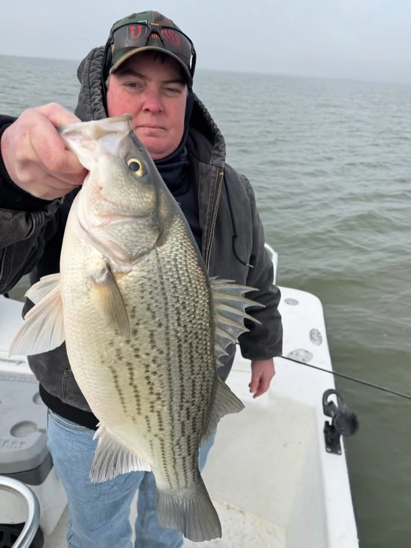 Person on a boat holding a large fish, with water in the background.