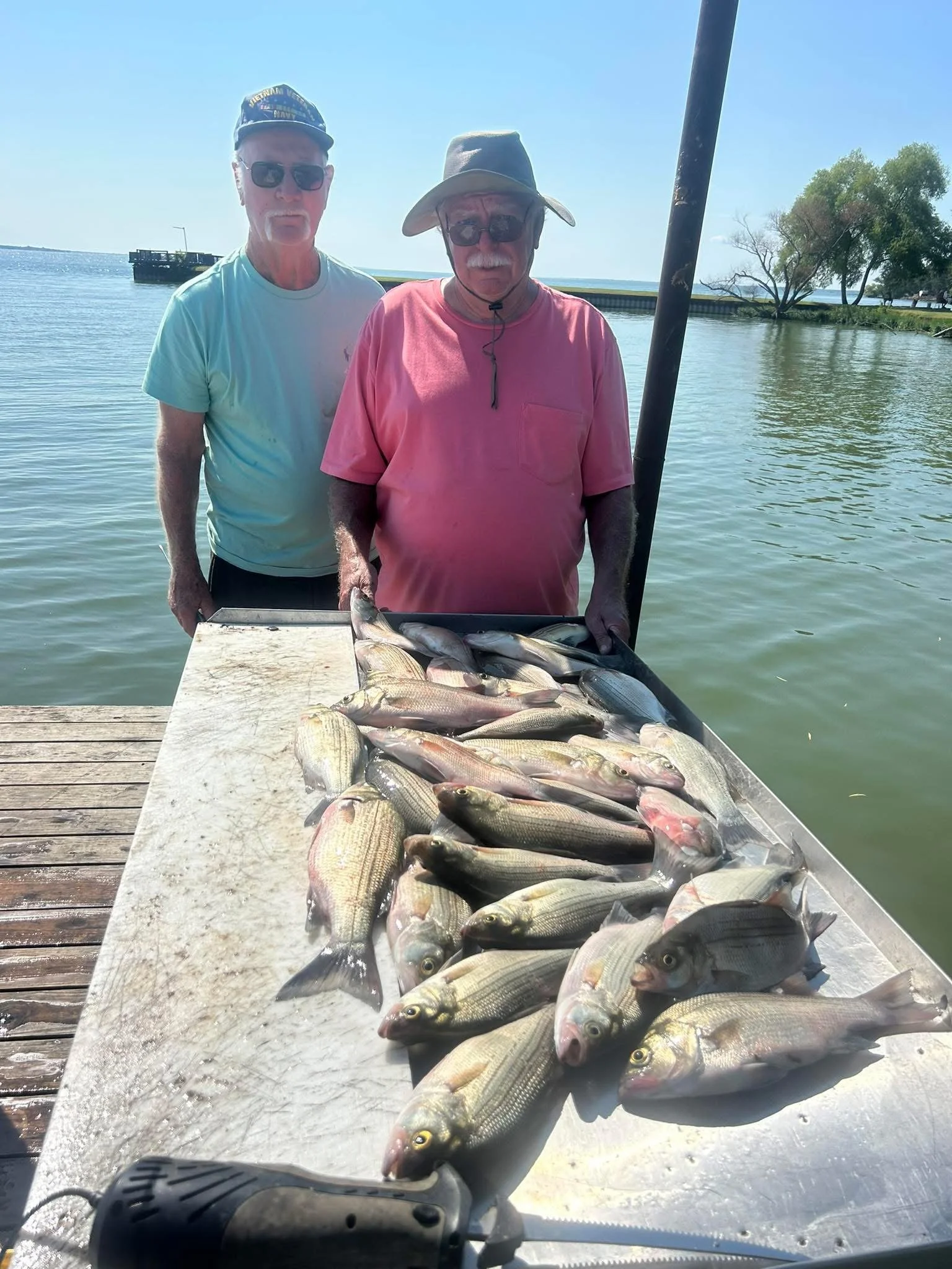 Two men standing behind a table of freshly caught fish, with a body of water and trees in the background, on a sunny day.