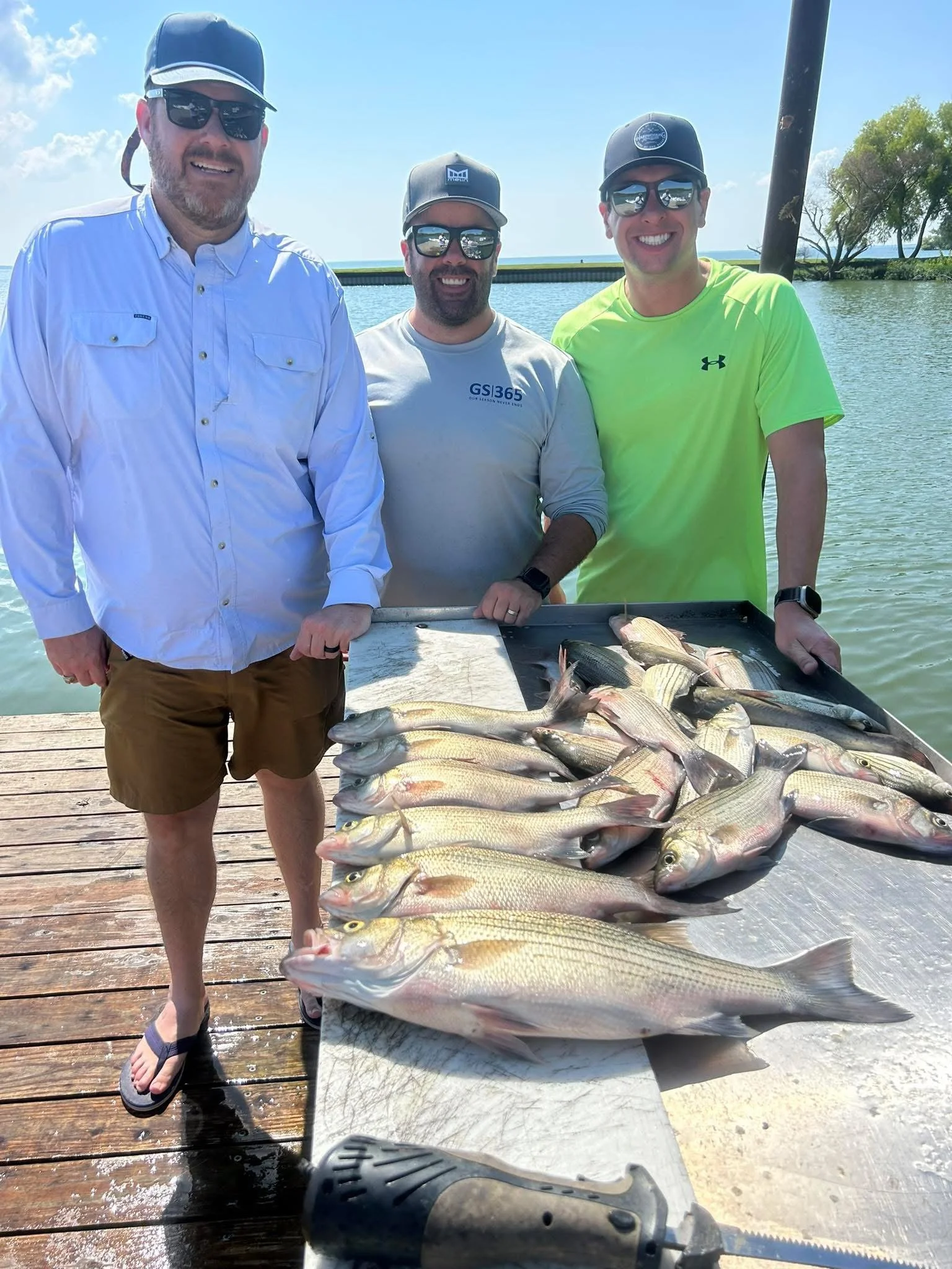 Three men standing on a dock with a large catch of fish laid out in front of them, smiling. The background shows water, trees, and a bridge under a sunny sky.