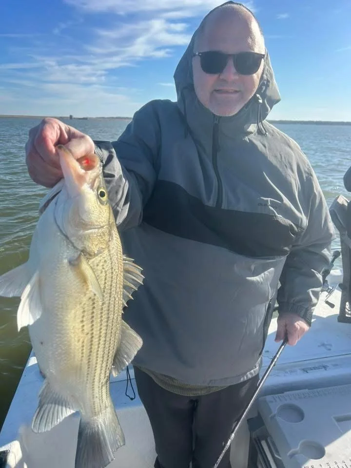Man in sunglasses holding a large striped bass fish on a boat in a body of water on a sunny day.