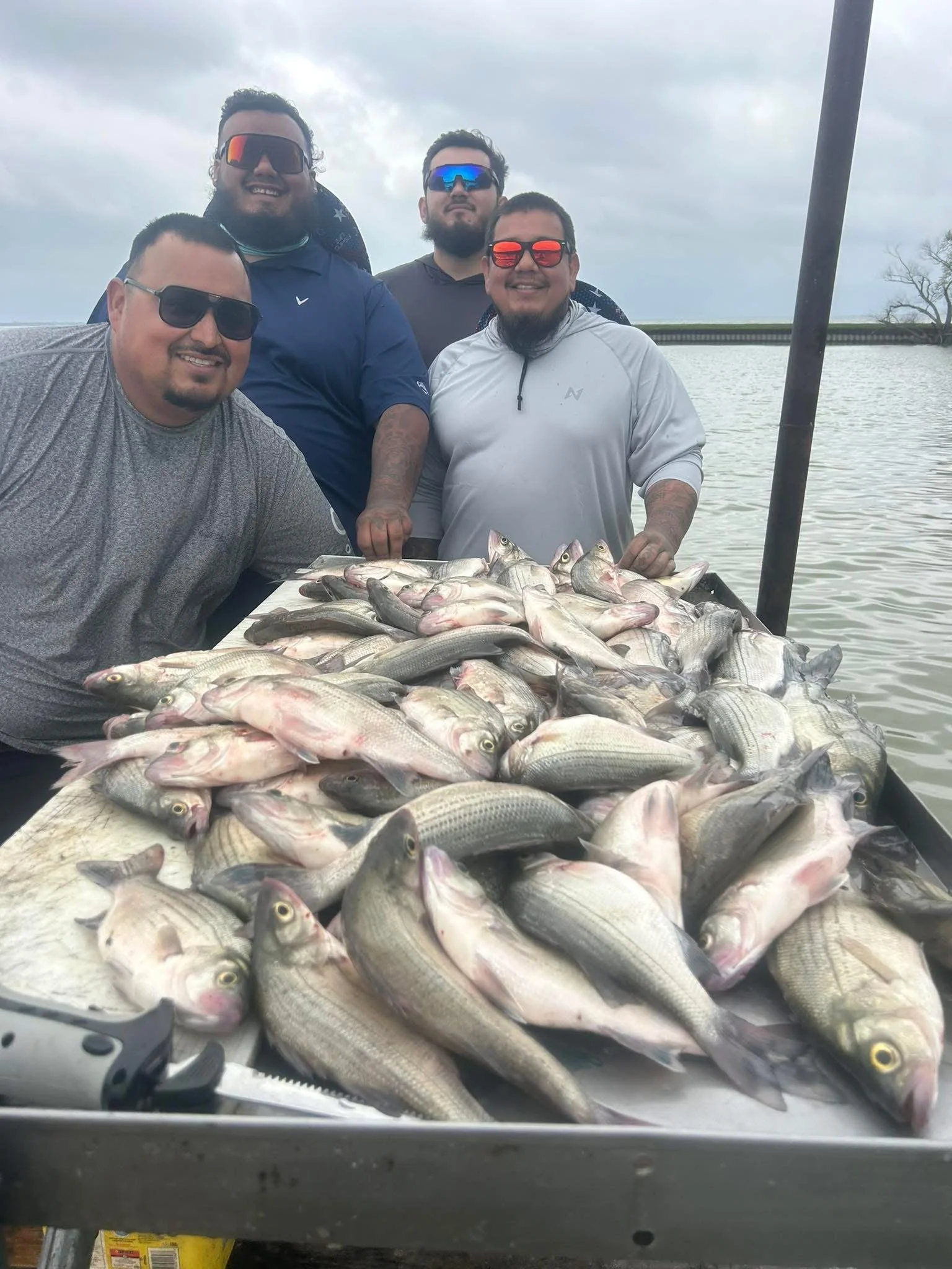 A group of five men smiling and posing with a large catch of fish on a boat by a body of water, with overcast sky and a tree in the background.