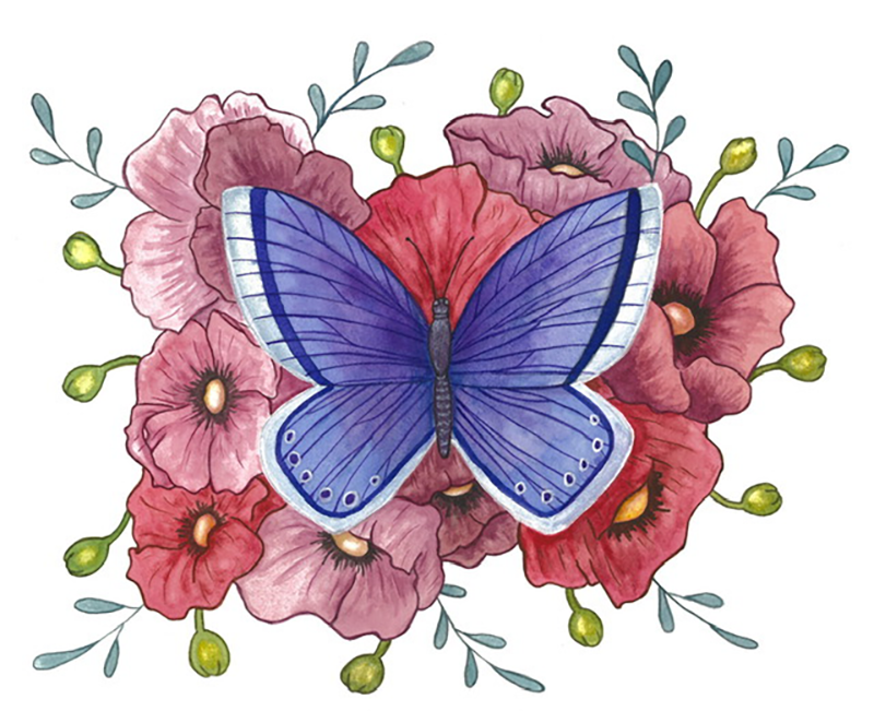 Blue Butterfly (watercolor).png