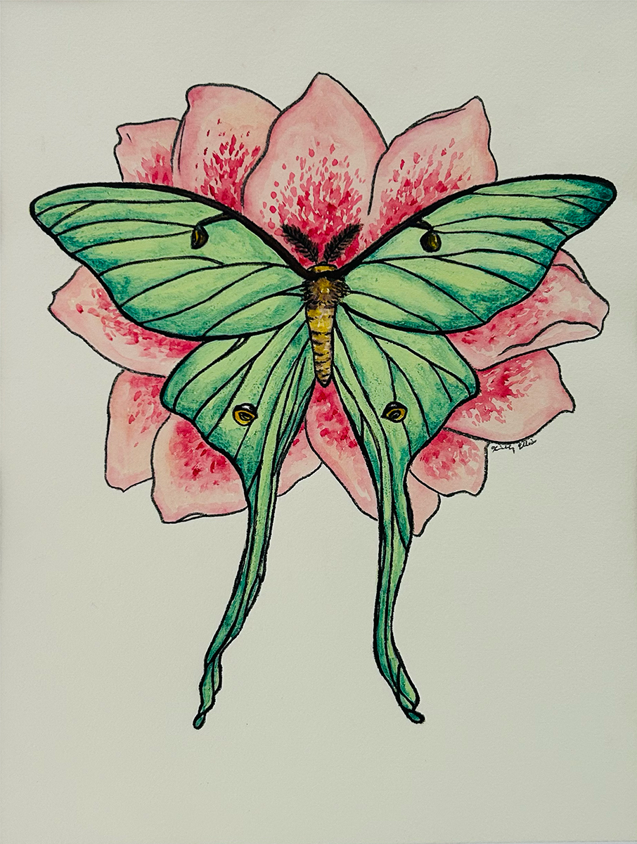 Savannah Luna moth with Azalea.png