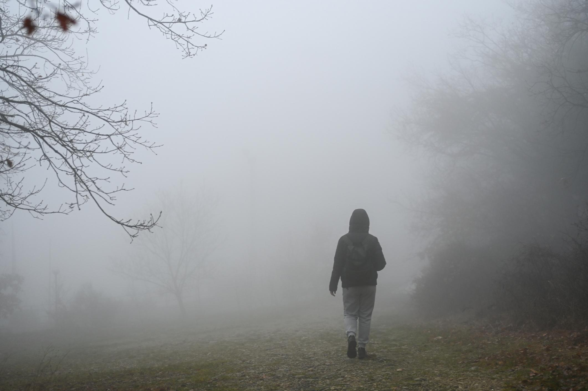 #110. Extinction: What We’re Afraid to Lose