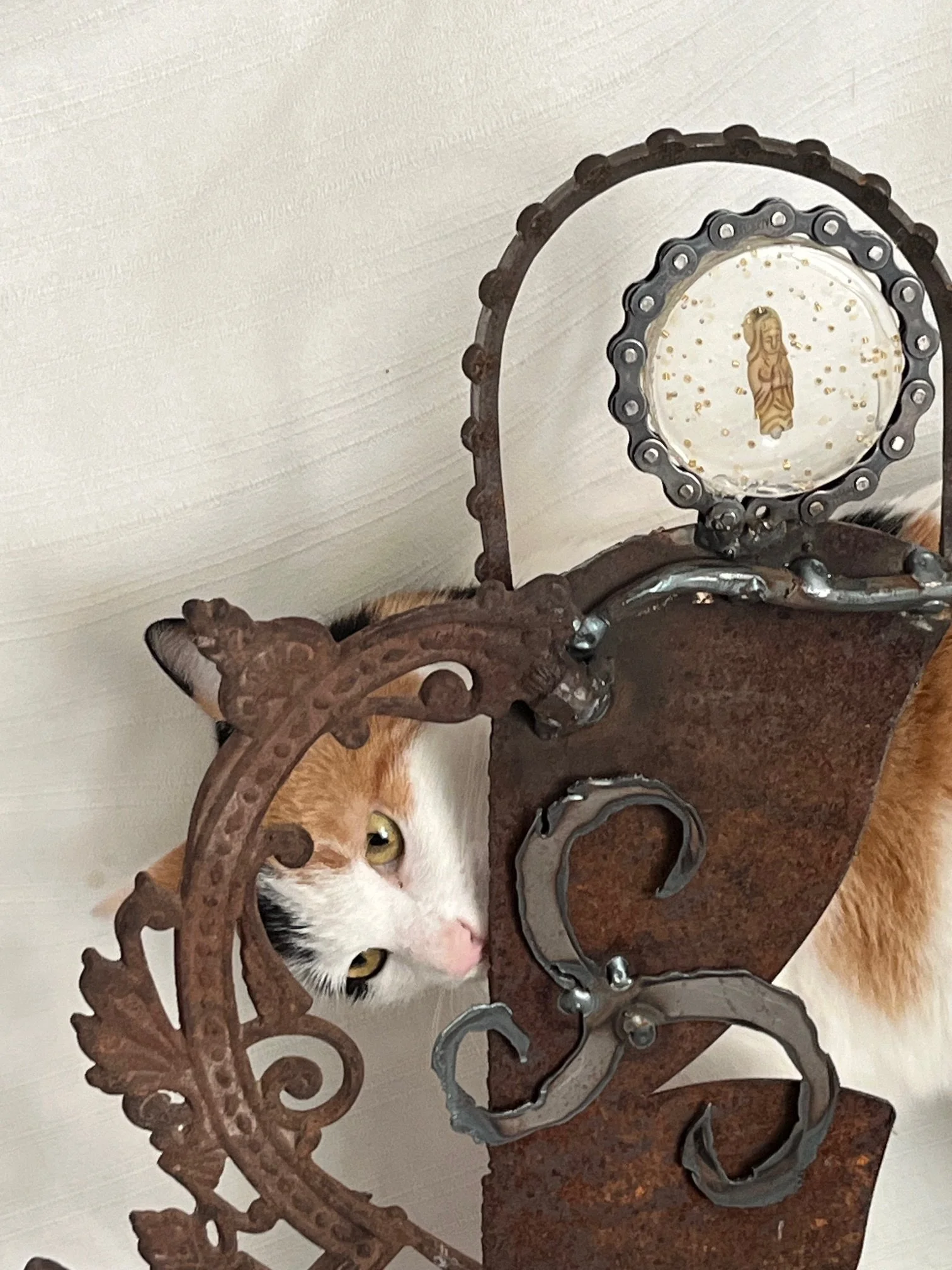 Meet Tara, a Divine Diva inspired by the Bodhisattva of compassion and empowerment. A reflection on love in action and the power of living with intention. The cat is Harley.