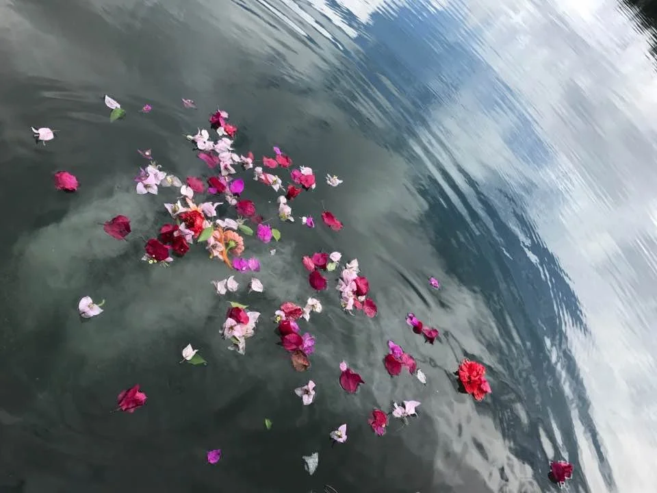A collection of colorful flower petals floating on calm water with gentle ripples.