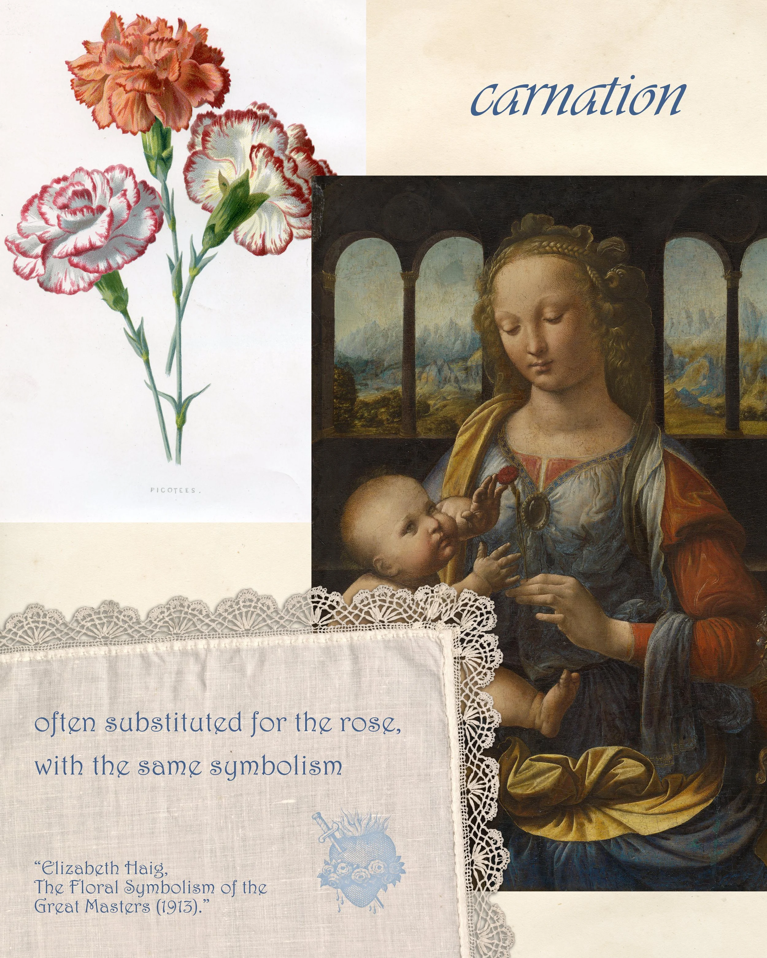 Carnation botanical illustration beside a Renaissance Madonna