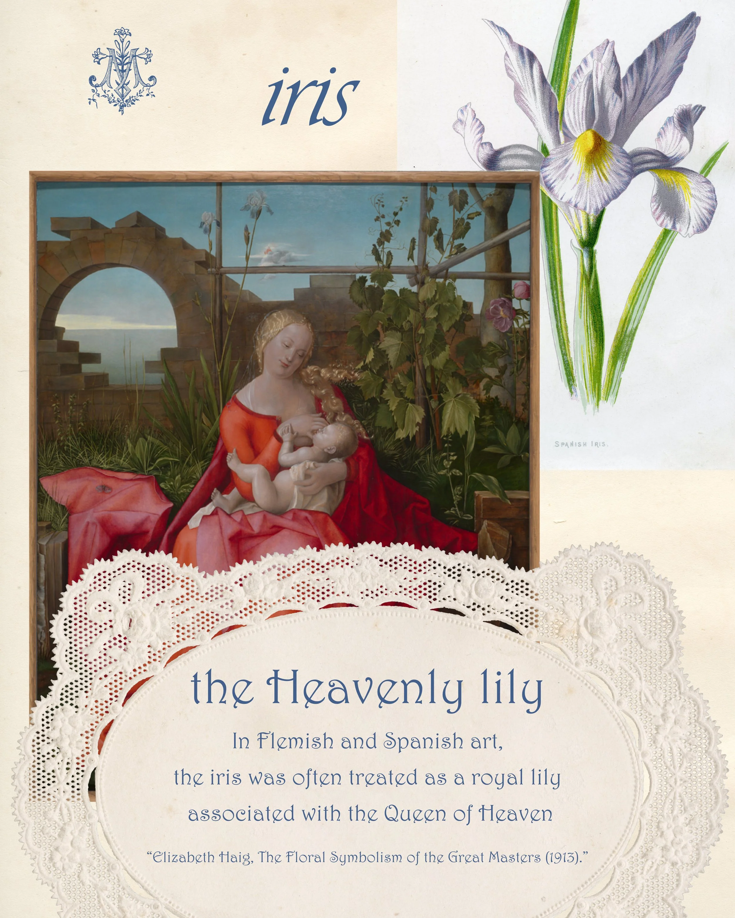Iris botanical illustration beside a Madonna painting