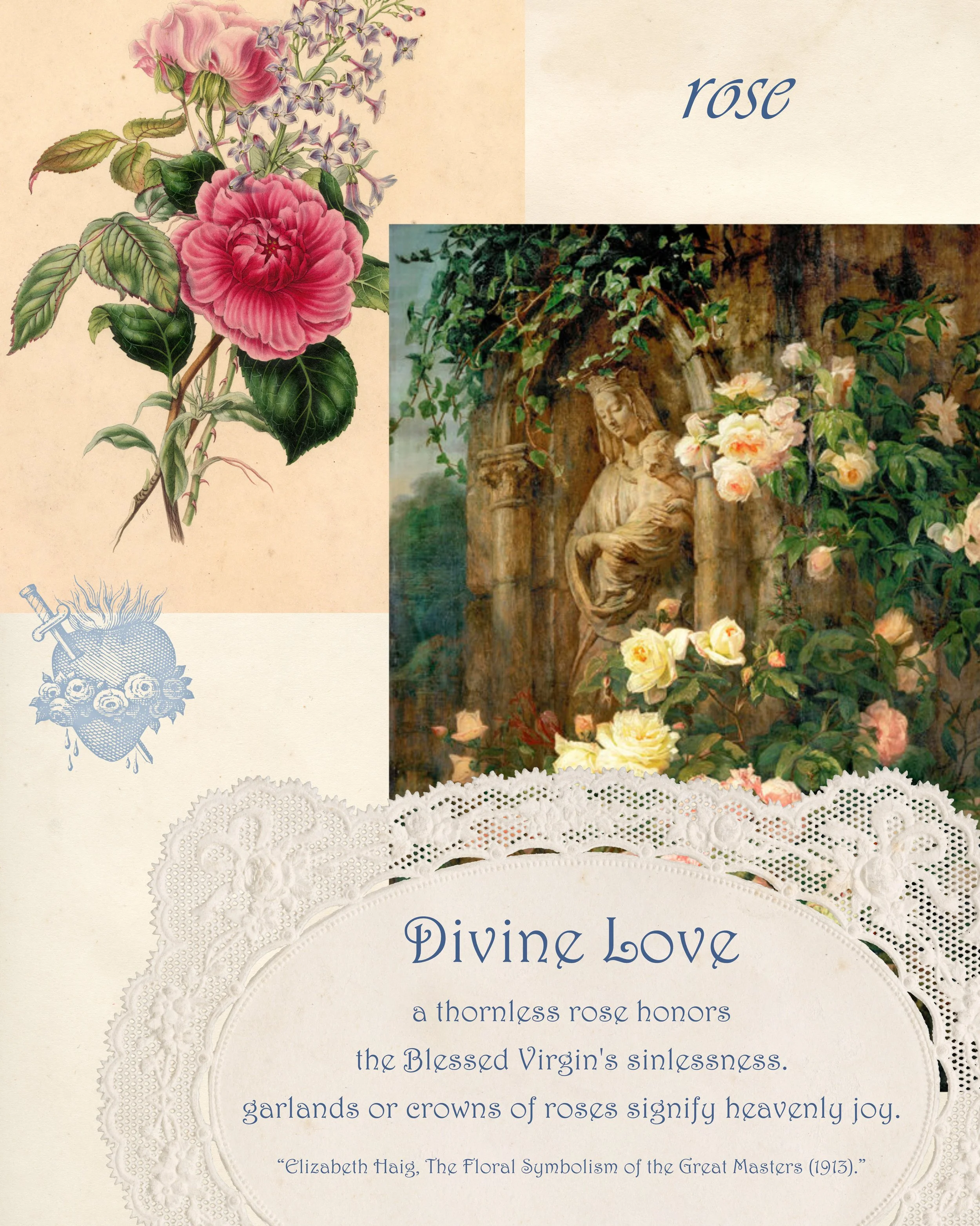 Pink rose beside a Renaissance Madonna painting, illustrating Marian flower symbolism