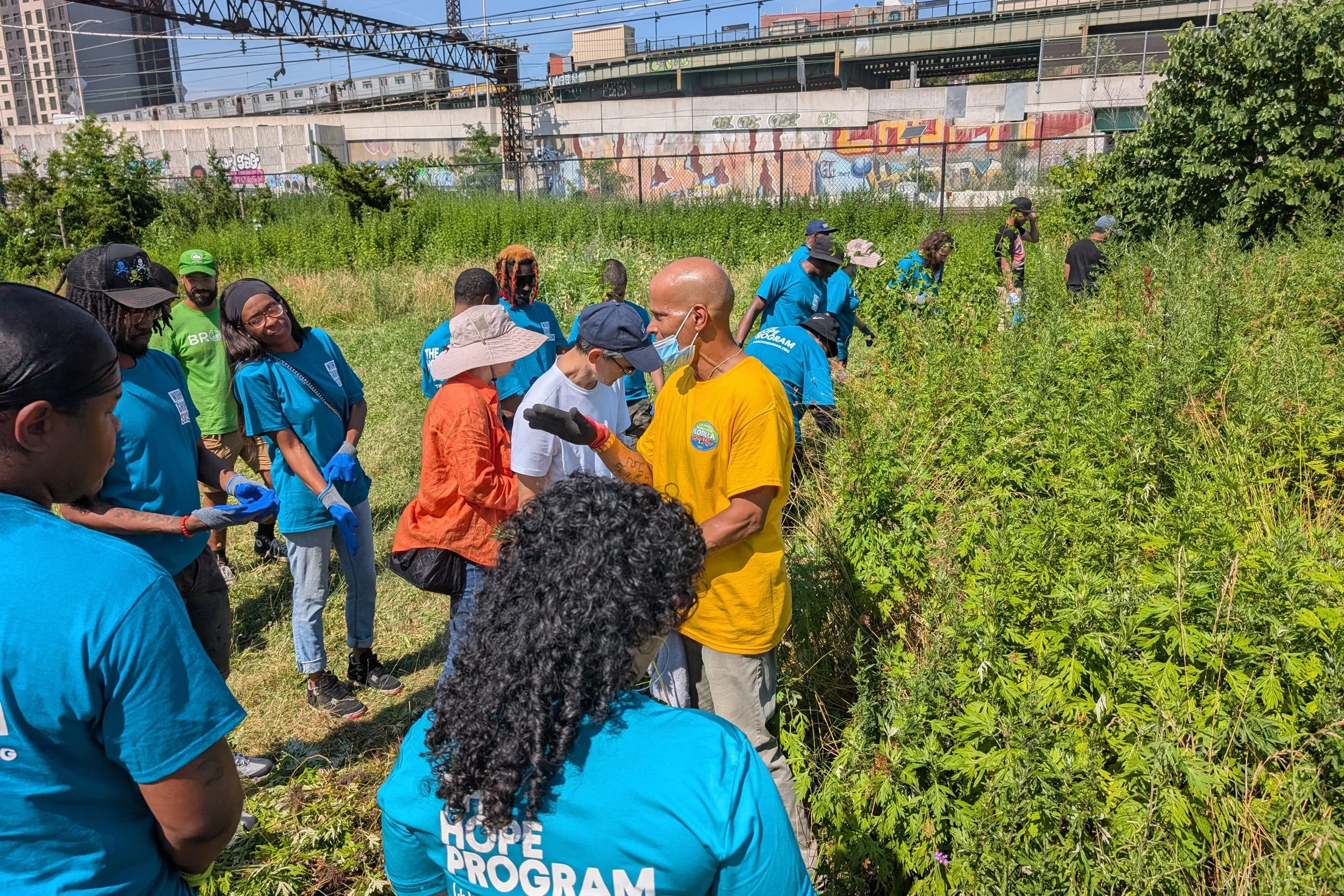 A group of people working together outdoors in a garden or farm, with some wearing blue shirts that say 'Hope Program.' They are tending to tall plants, with a cityscape, graffiti-covered wall, and train tracks in the background.