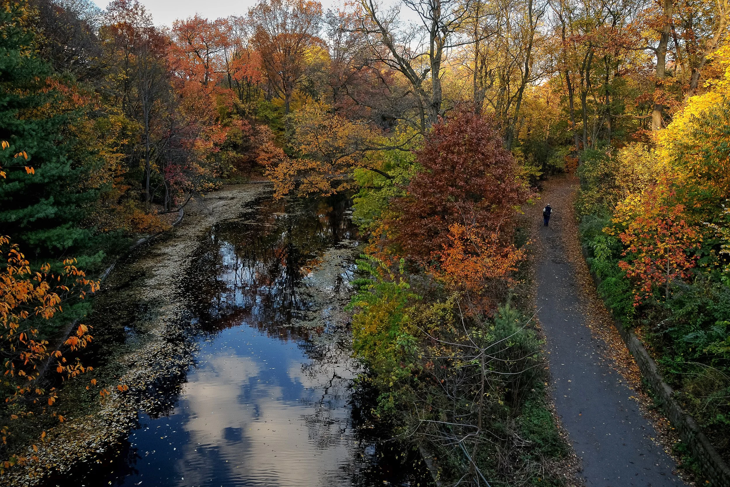 An autumn scene of trees with colorful fall foliage surrounding a calm river. A person walks along a trail beside the river, with reflections of the trees and sky visible in the water.