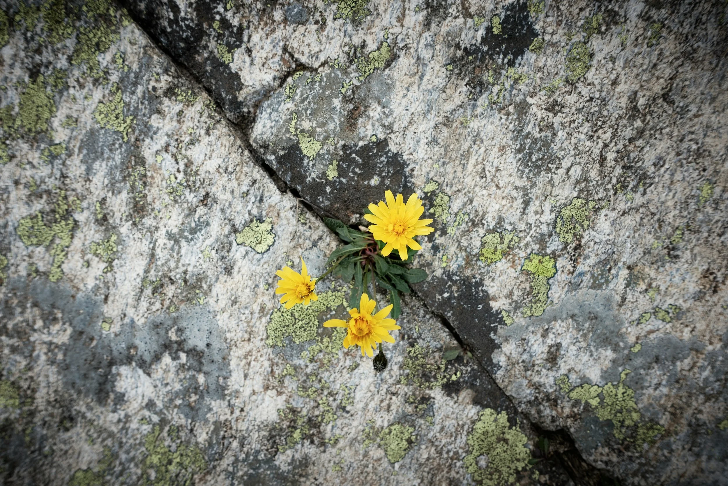 tim-oun-ji86E0EYPk0-unsplash.jpg