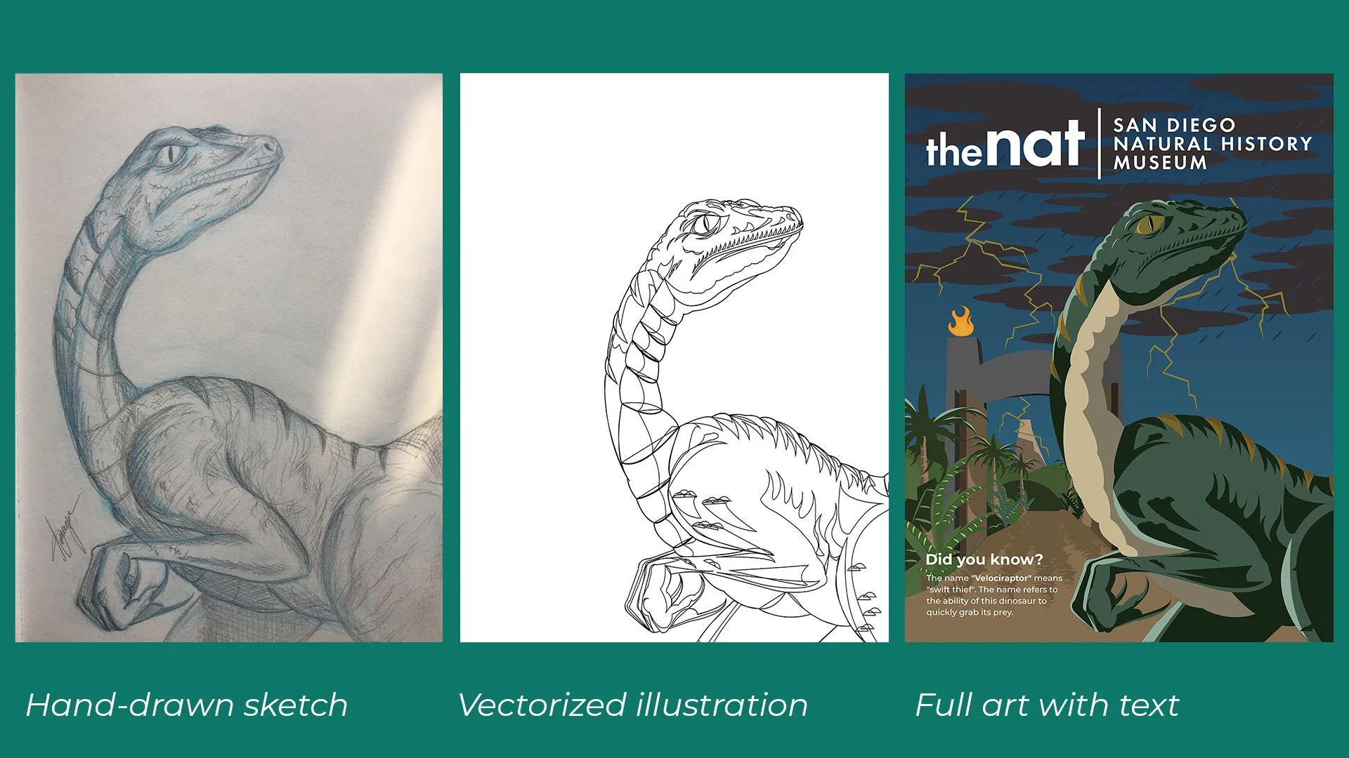 Jurassic-Process-1.jpg