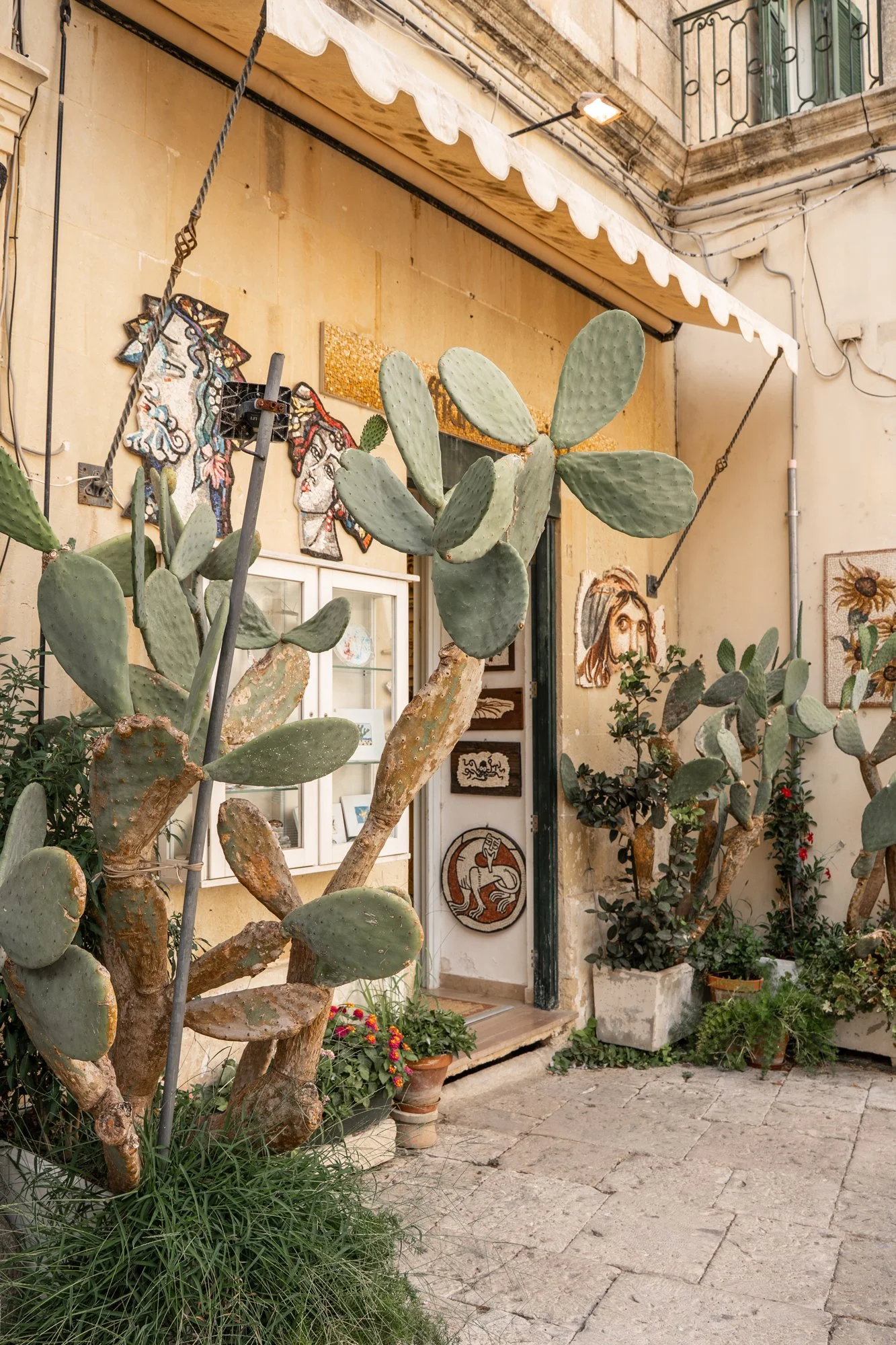cactus-stone-wall-otranto-south-italy-wedding-photographer.jpg