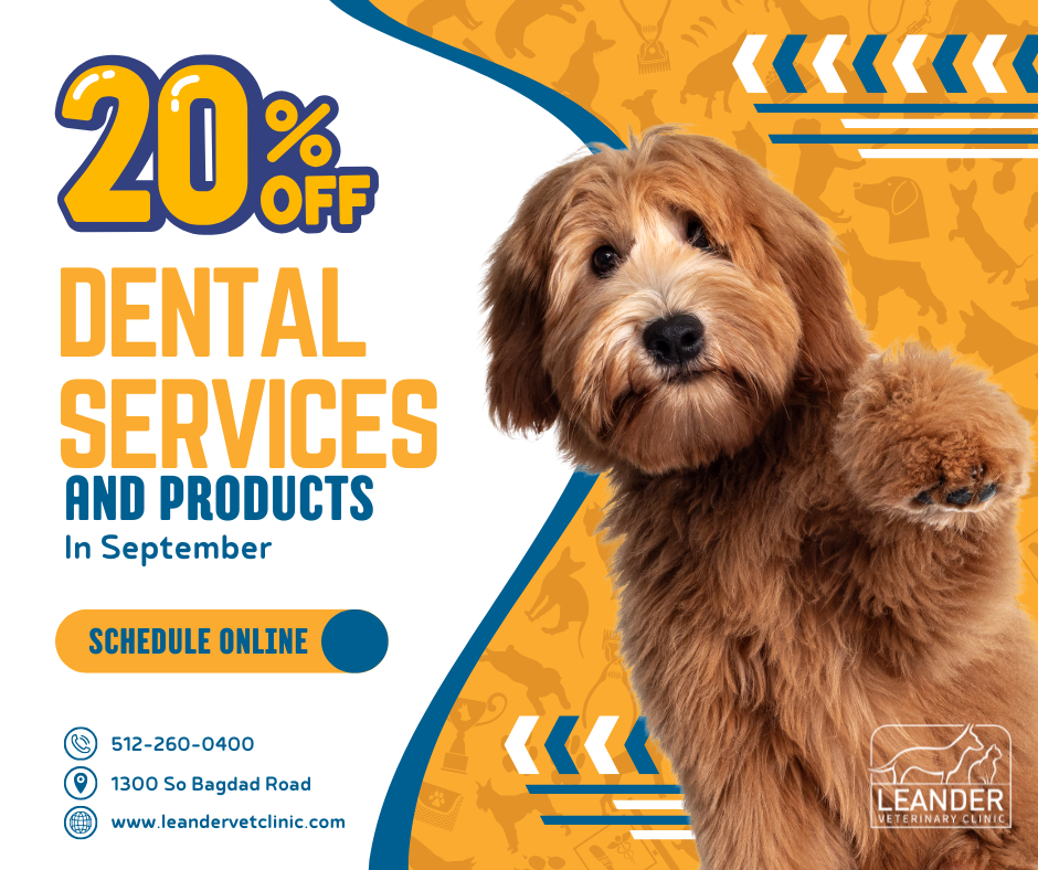 dental september 20 FB.png