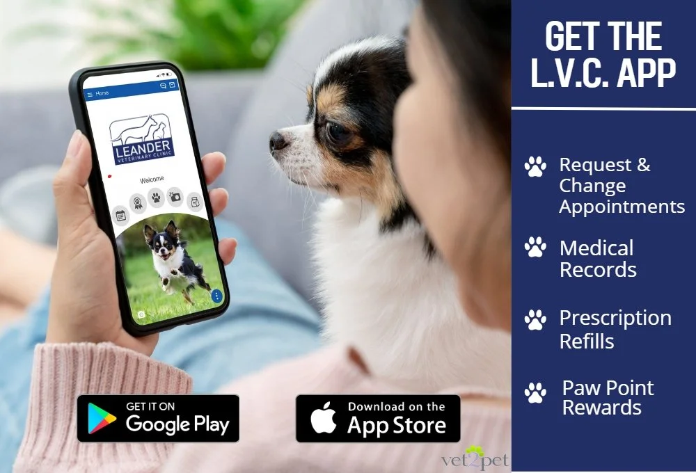 e Slide show App.jpg