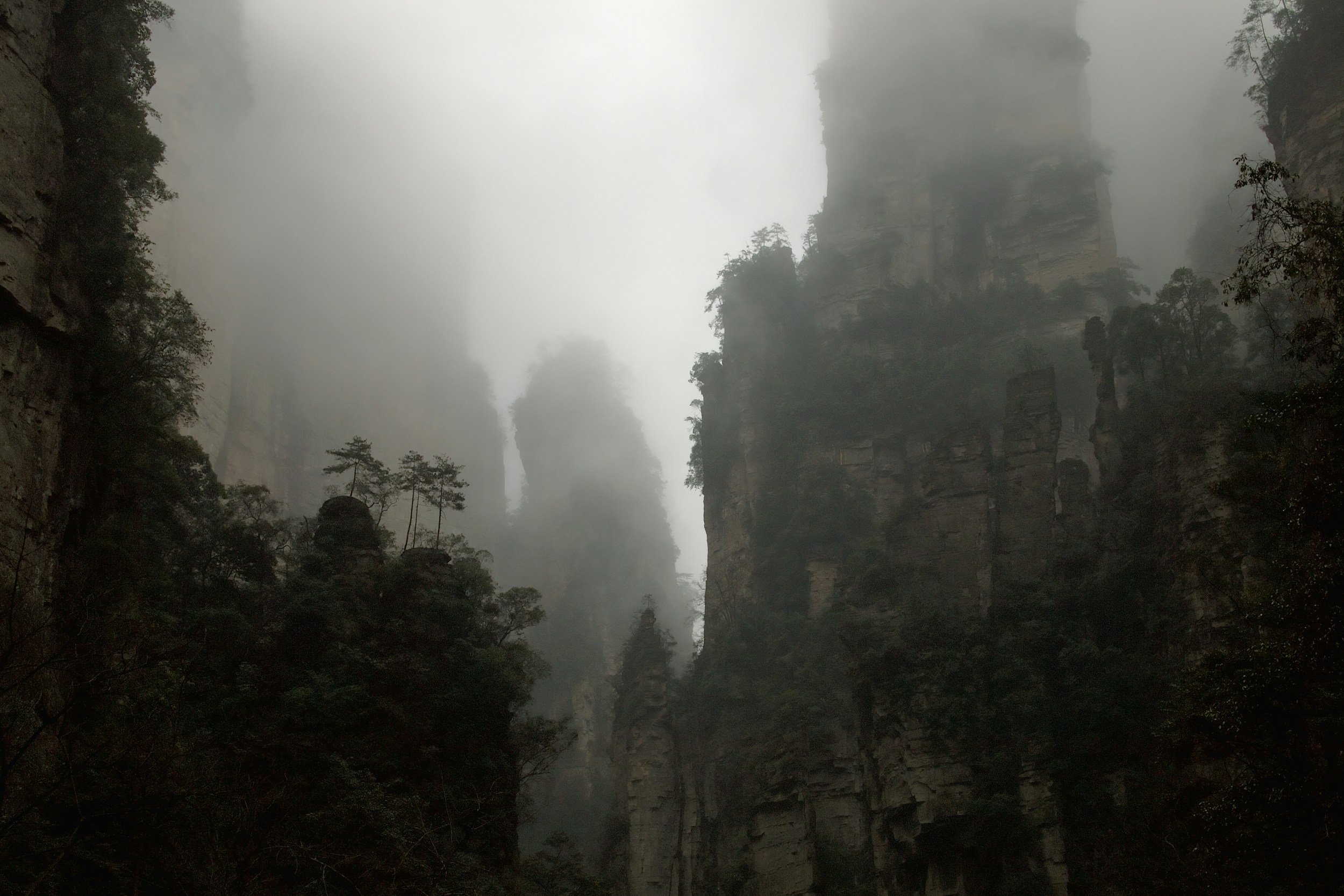 unsplash-image-rkTReAcc8yQ.jpg