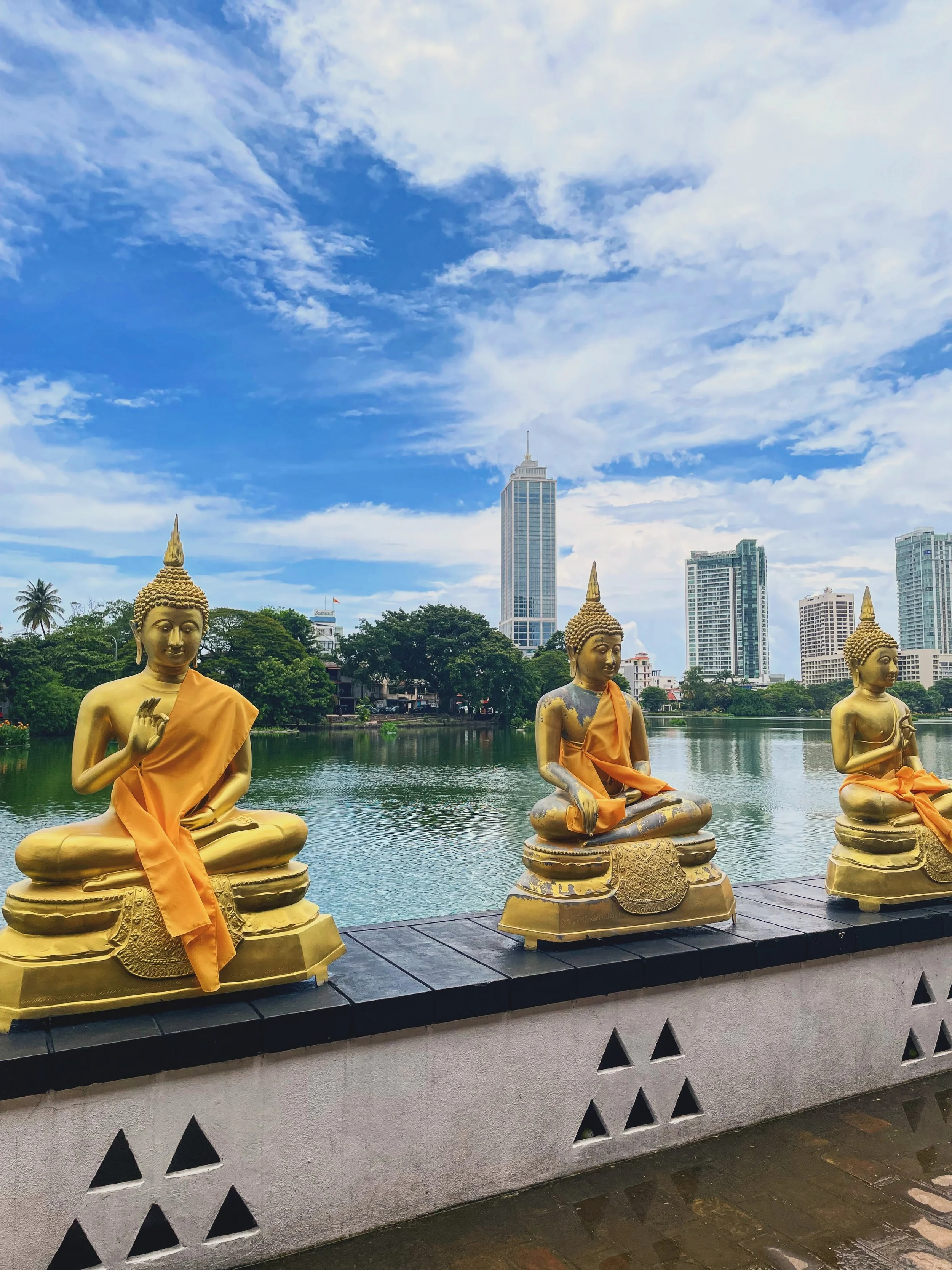 &ldquo;There would be national mourning, great sadness.&rdquo; The Sacred Bodhi Tree is the beating heart of Sri Lankan Buddhism and this is what my husband said when I asked him what would happen if Jaya Sri Maha Bodhi were to fall ill or die, like 