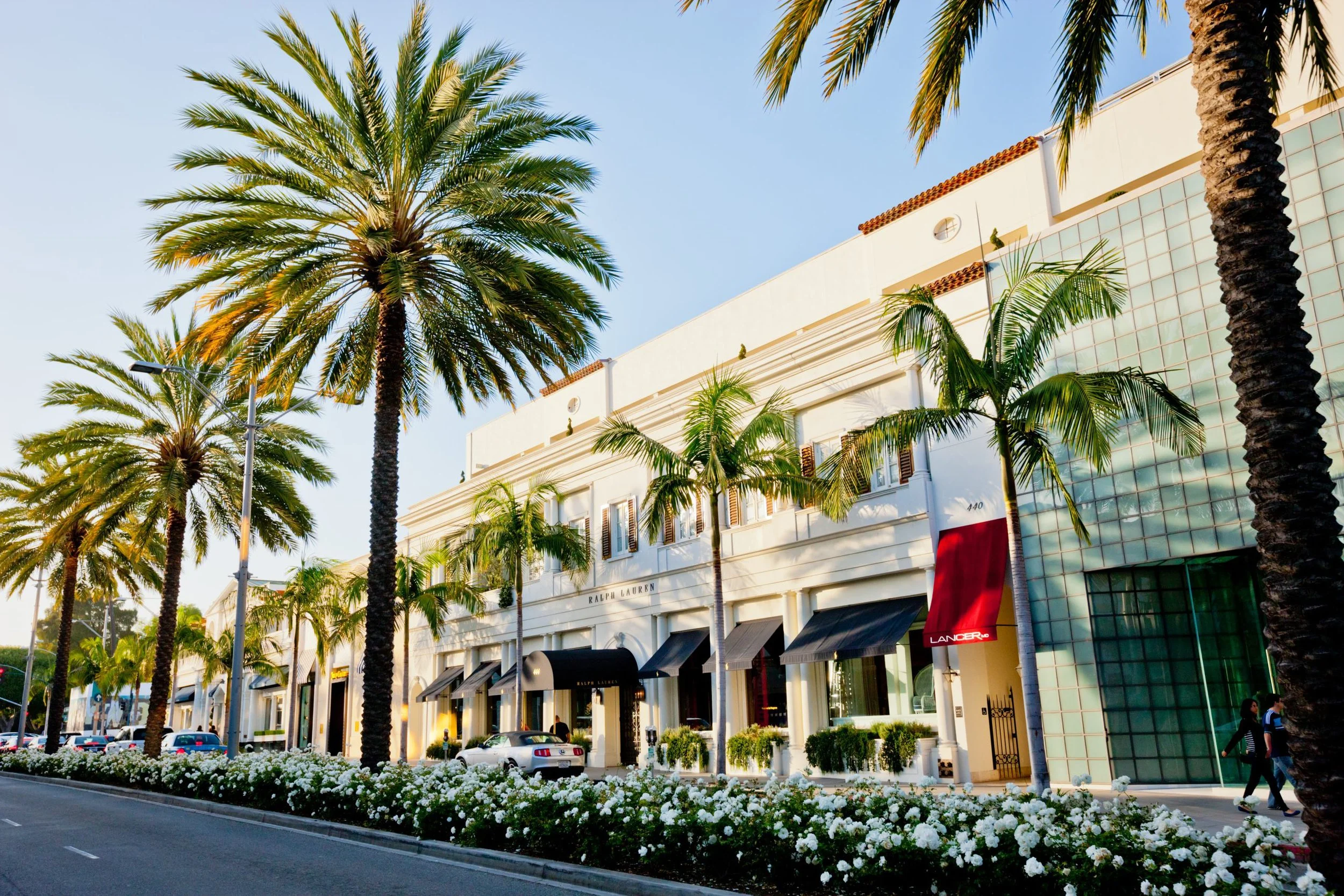 Rodeo Drive_RL.jpg
