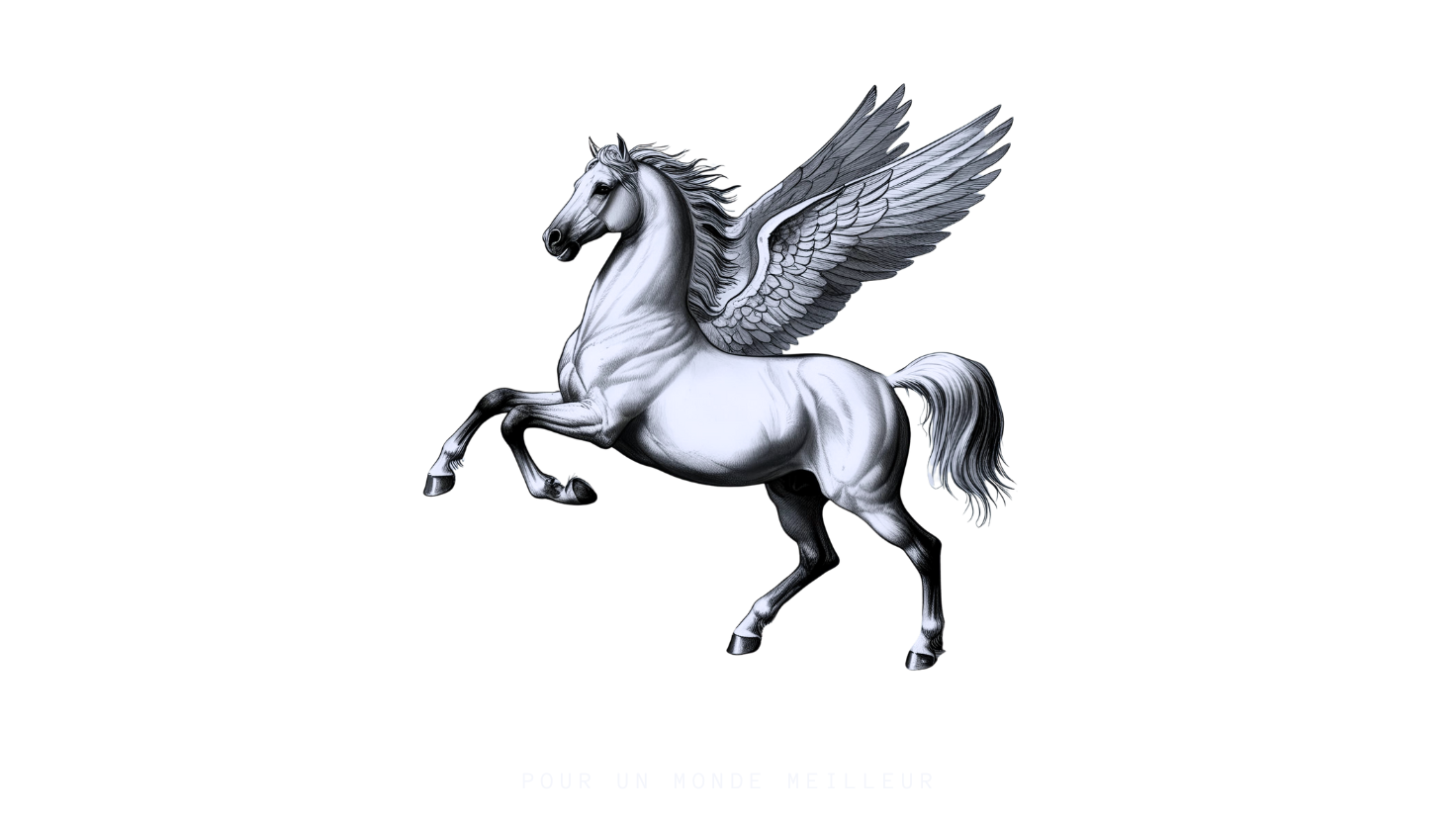 Inspire, Educate & Entertain. (6).png