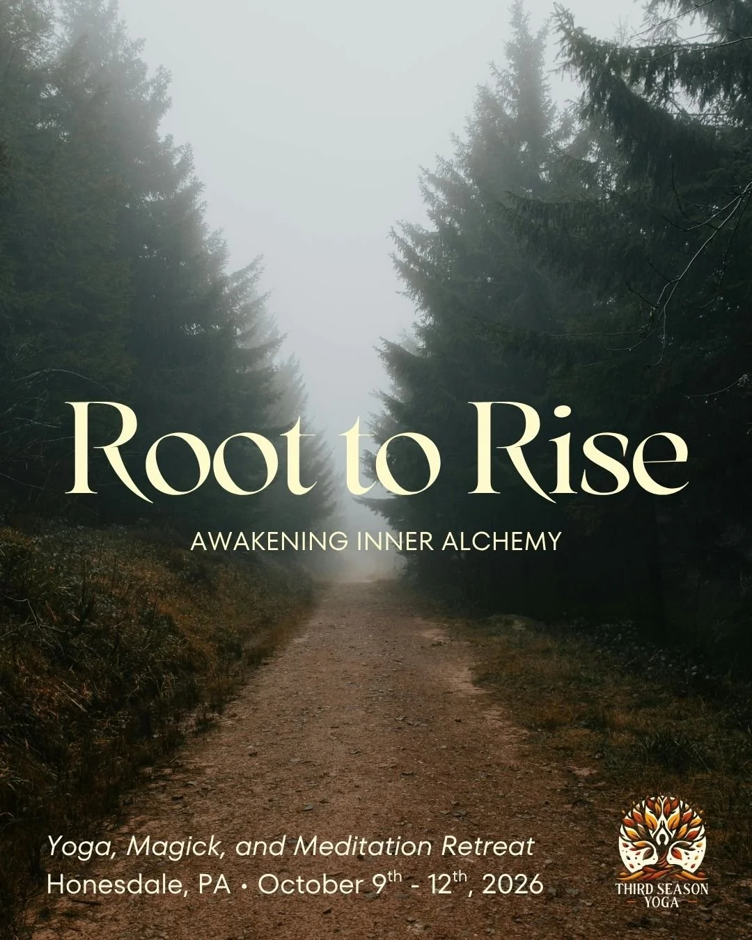 A foggy forest path surrounded by tall pine trees, with the text "Root to Rise: Awakening Inner Alchemy" advertising a yoga, magick, and meditation retreat in Honesdale, PA from October 9th to 12th, 2026.