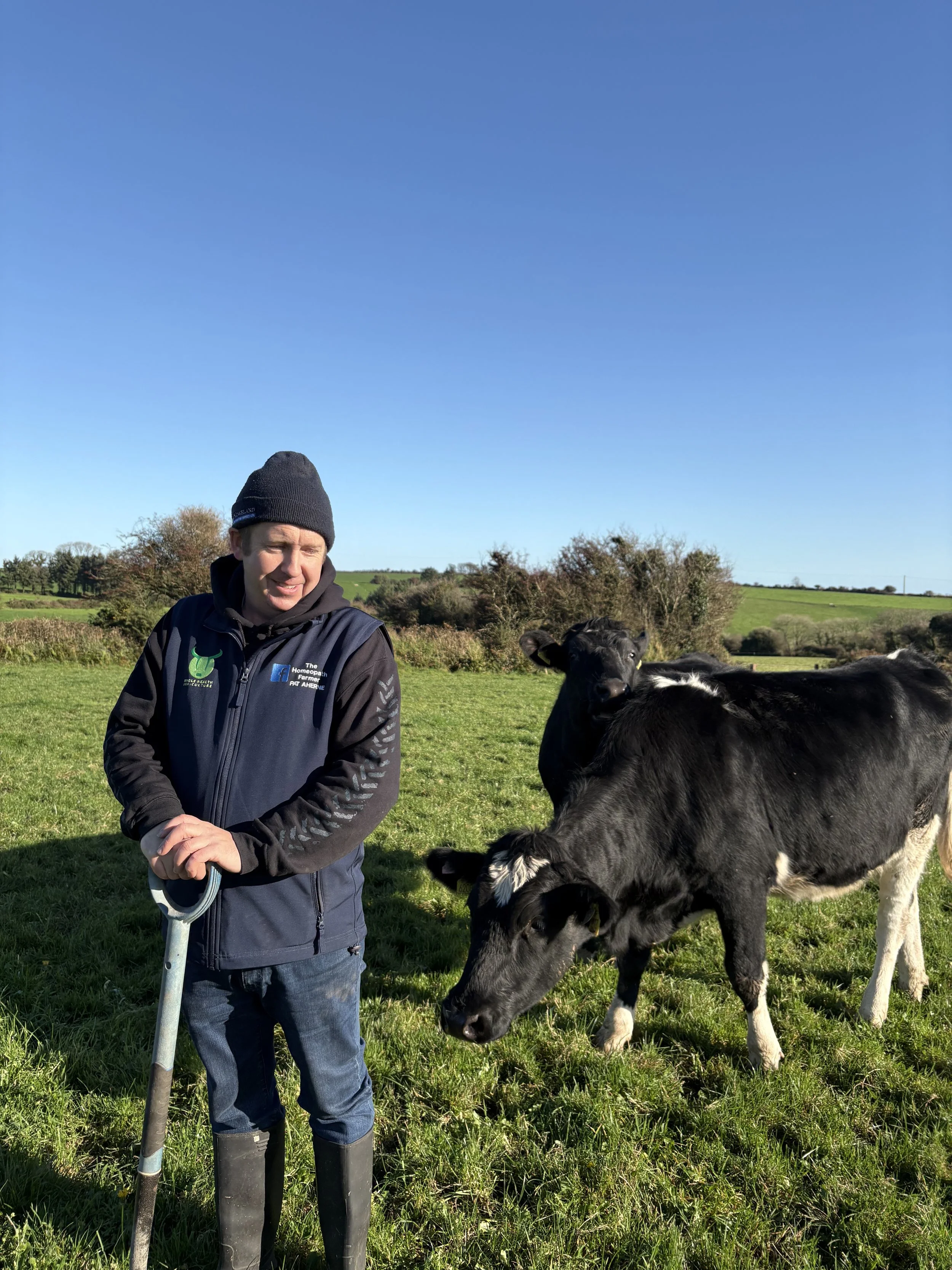 A man wearing a black beanie, dark jacket, and jeans standing in a green field with cows, holding a walking stick, under a clear blue sky with distant trees and rolling hills.