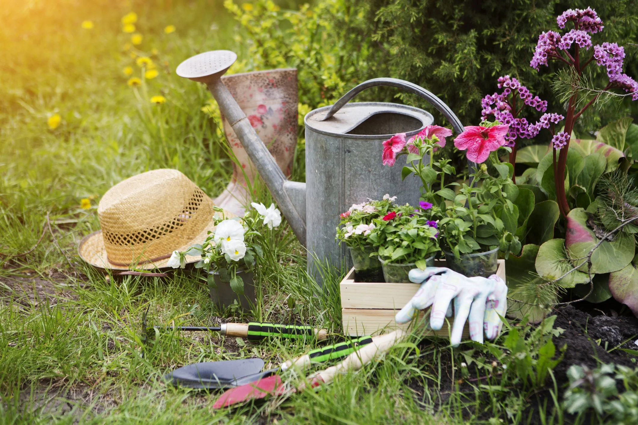 A garden scene with gardening tools, plants, and supplies including a watering can, gloves, a straw hat, and potted flowers, set in a lush green area.