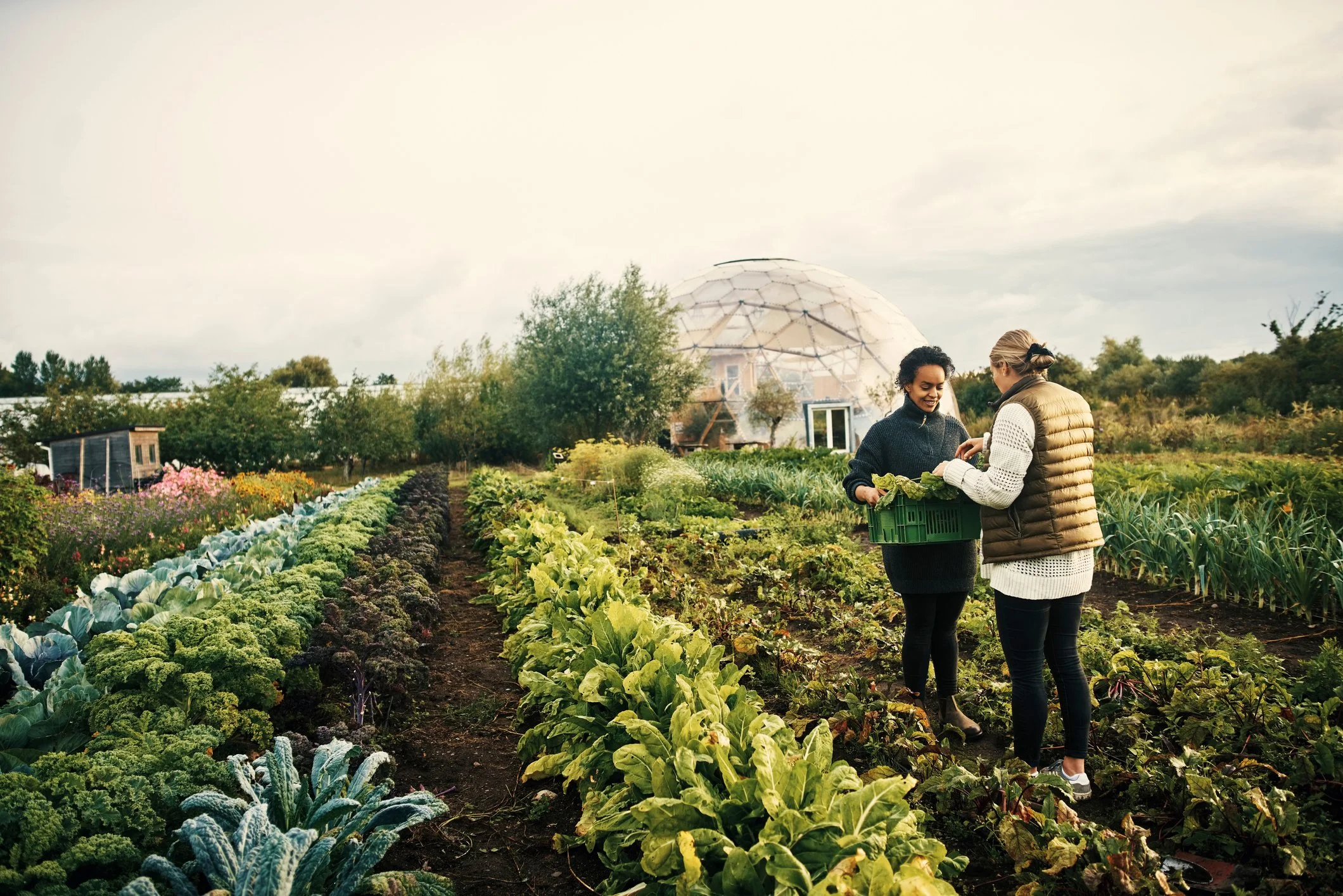 Two women are harvesting vegetables in a large garden with a geodesic dome structure in the background. They are smiling and holding a basket of greens.