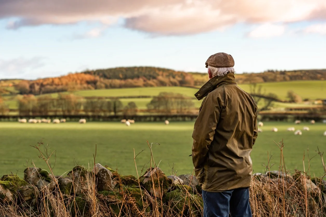 Older man standing by a stone wall, overlooking a green field with grazing sheep, rolling hills in the distance, under a partly cloudy sky.
