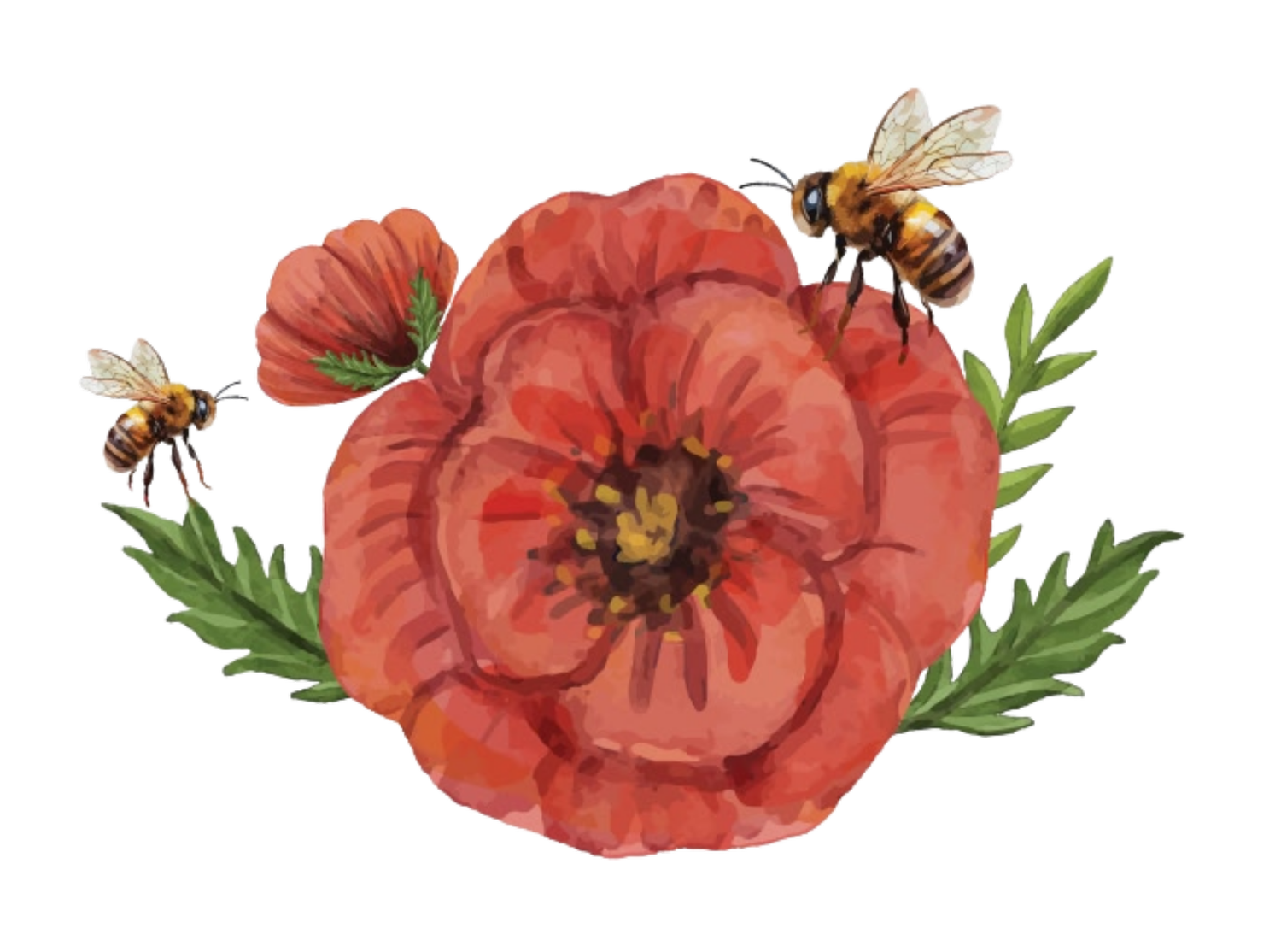 Beyond Organic School of Agrihomoeopathy