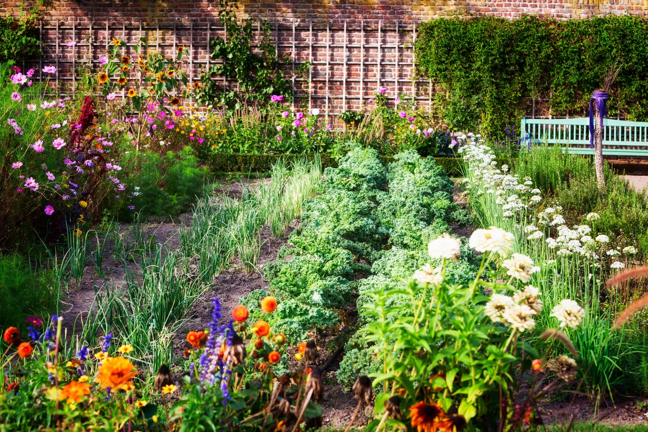 A garden with colorful flowers and greenery against a brick wall, including a blue bench and a wooden post with purple fabric and feathers.