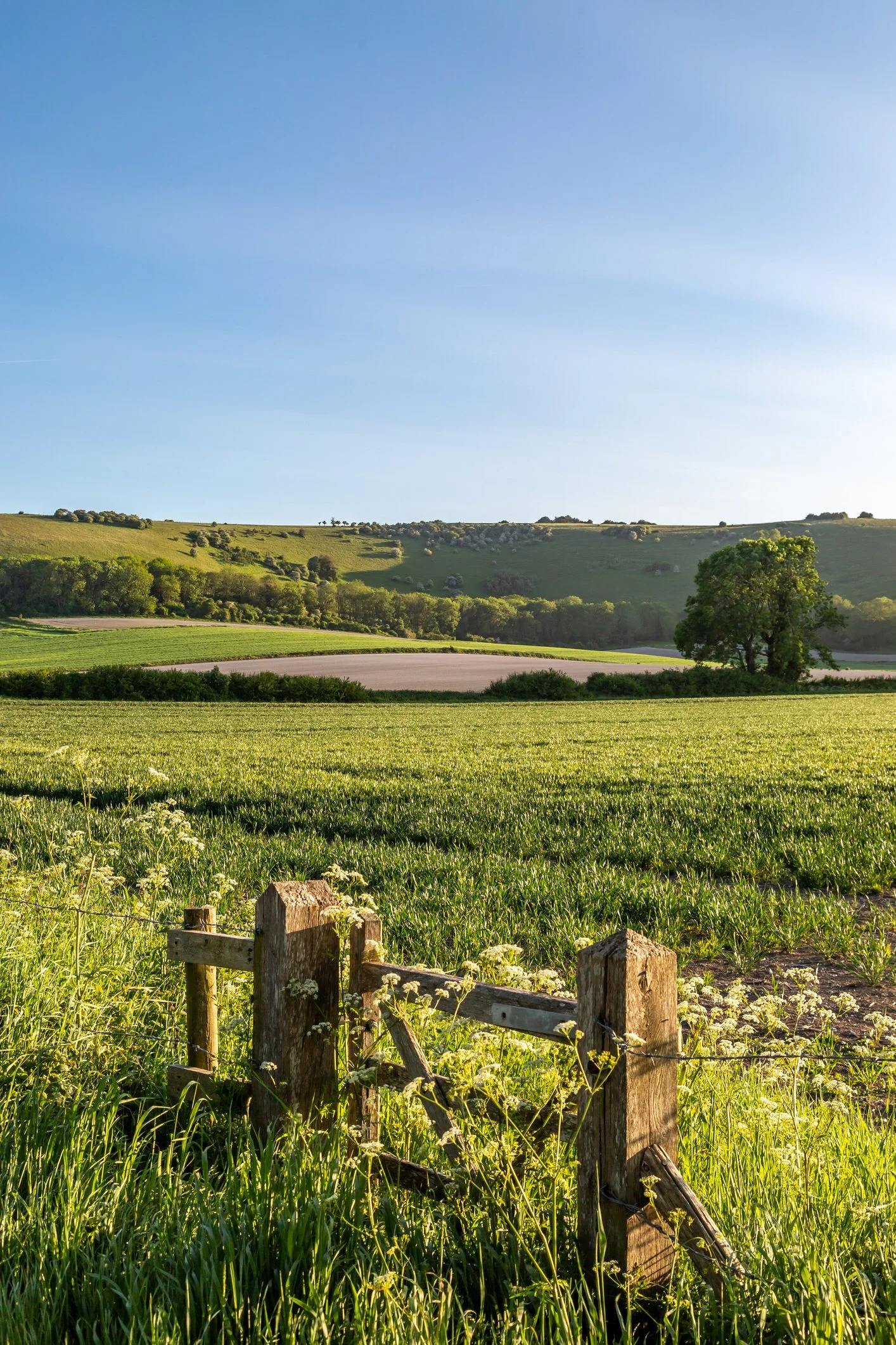 A scenic landscape with a dark brown wooden fence in the foreground, lush green grass, rolling hills in the background dotted with trees, and a clear blue sky overhead.