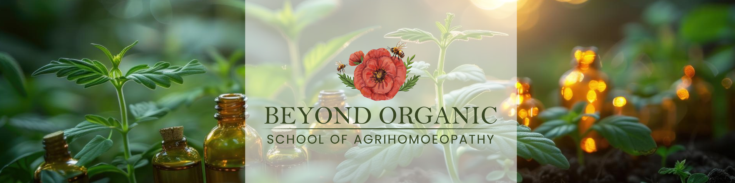 Green plants with small brown bottles and a logo for Beyond Organic School of Agrihomeopathy, featuring a red flower and bees in the background.