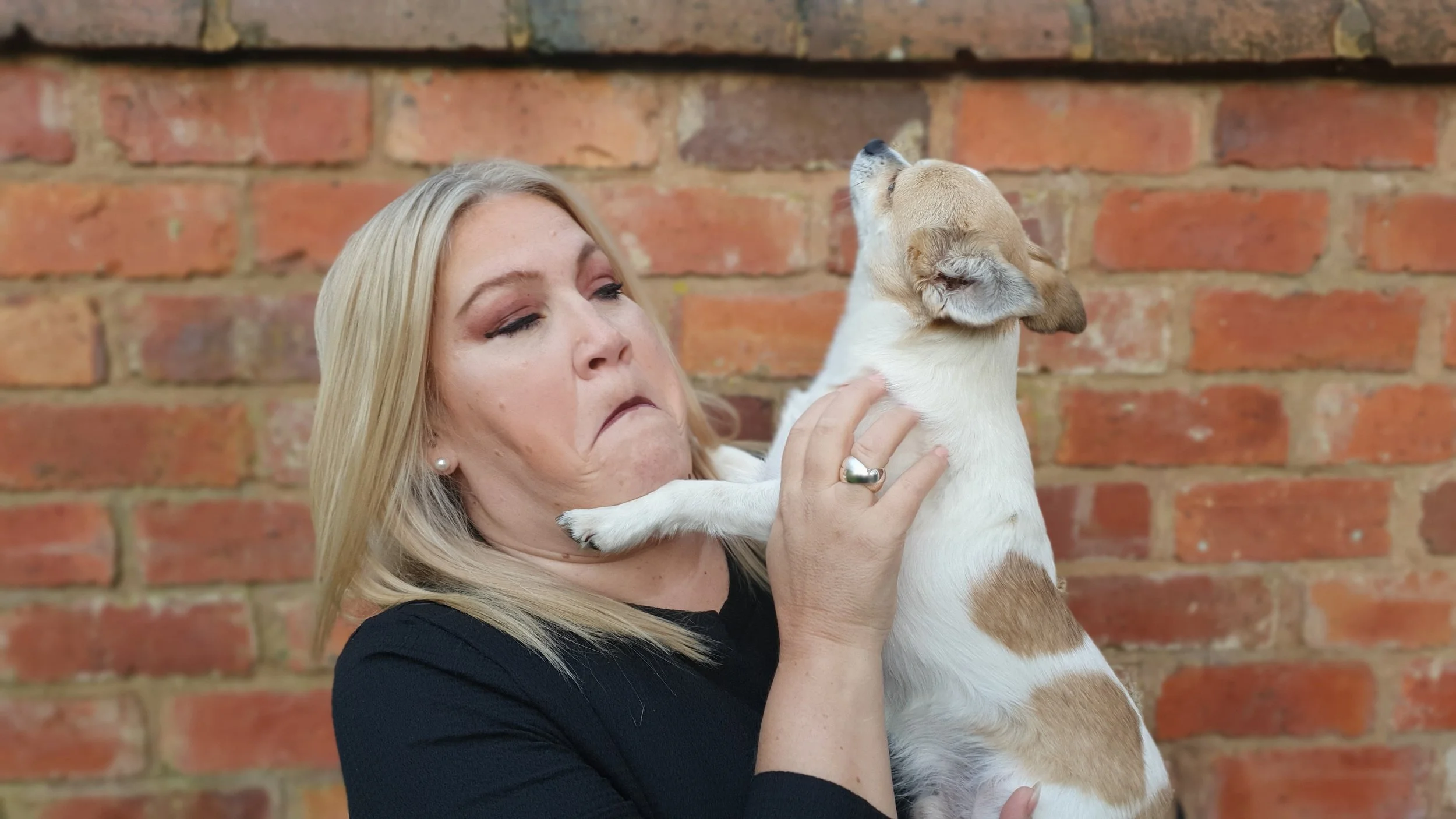 Susie Schwartz standing in front of a brick wall holding Carlos her Chihuahua and he is making a funny pose like he's modelling